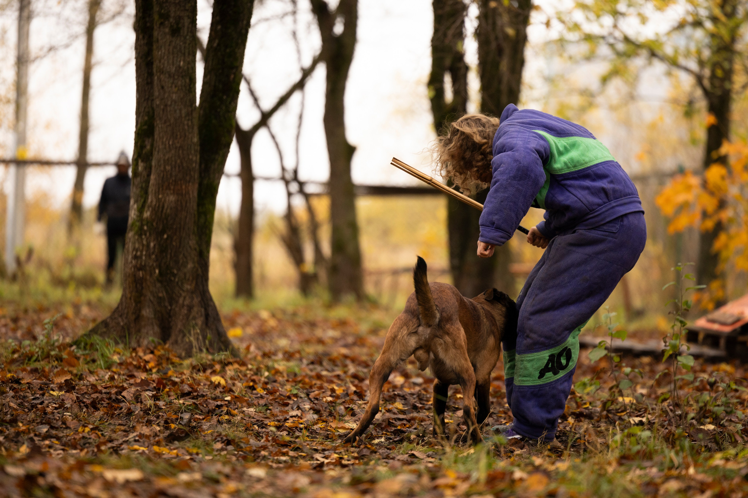 Соревнования по Мондьорингу г. Вологда. Фотограф-анималист Анна Маринич