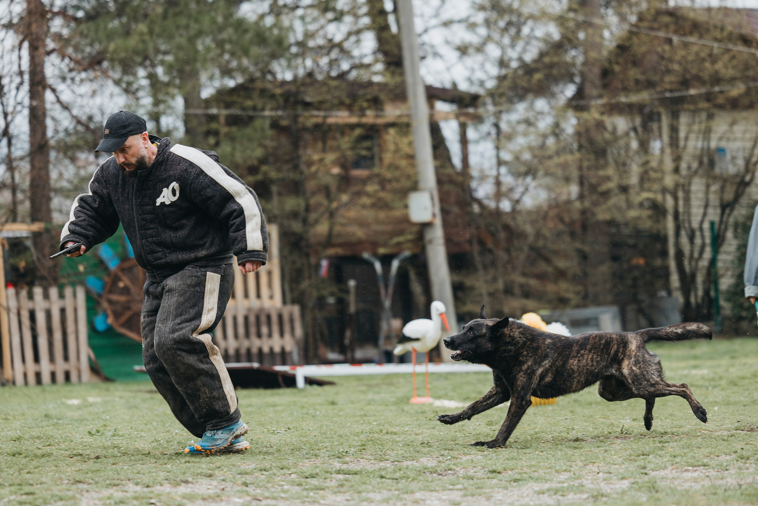 Геленджик Мондьоринг. Фотограф-анималист Анна Маринич