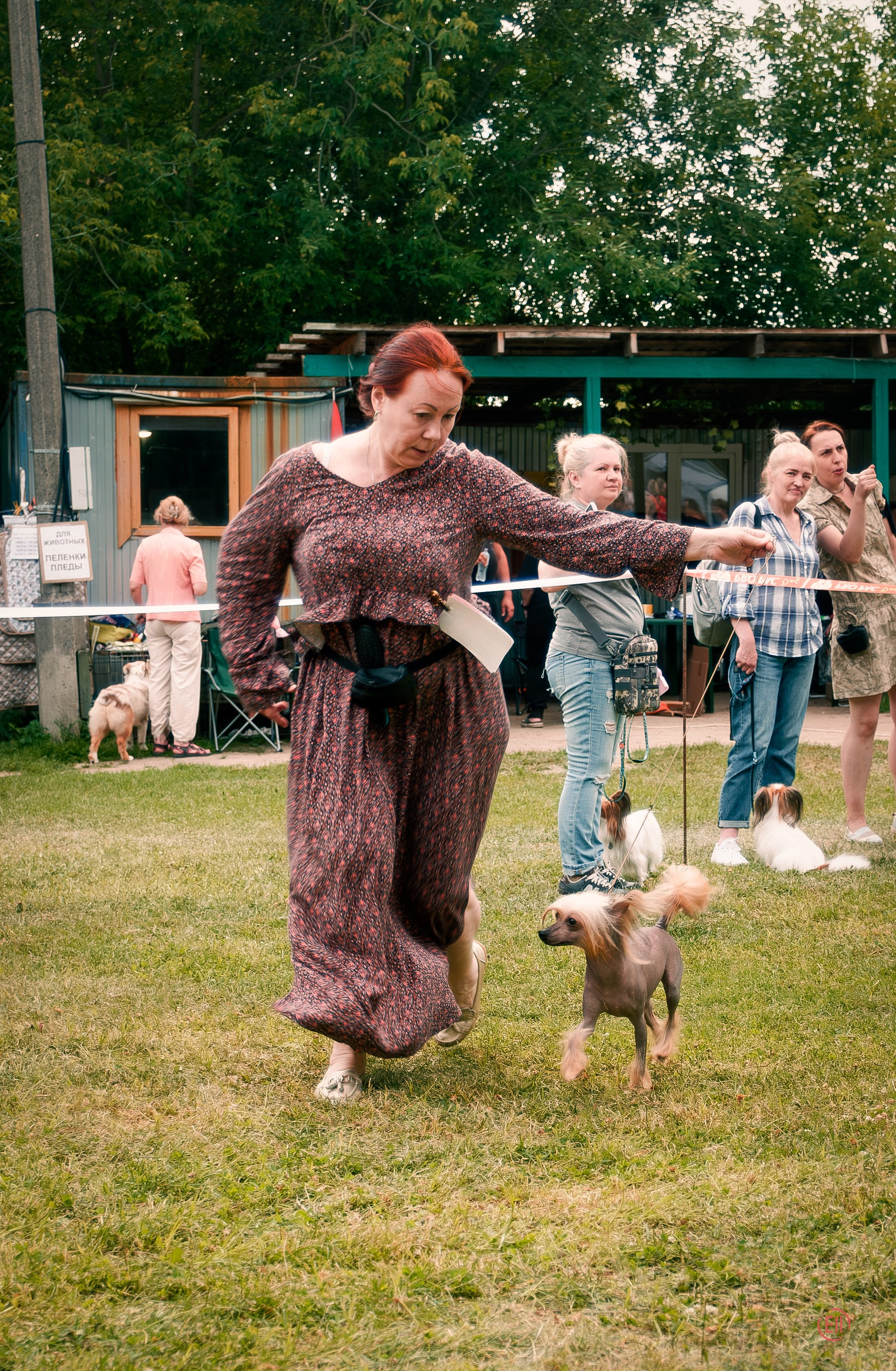 Фотосессия на выставке собак. Фотограф в Москве