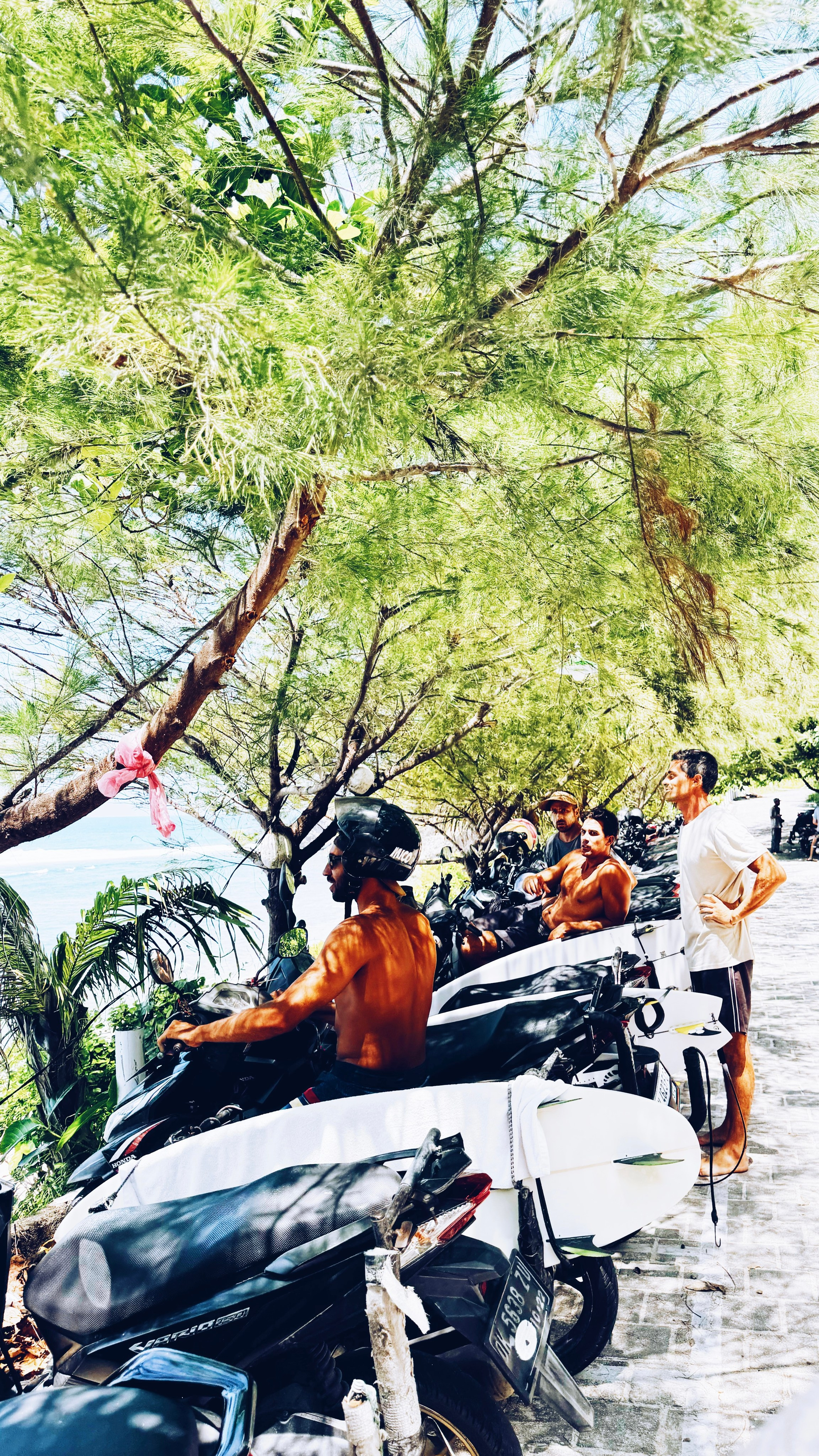 SOMEWHERE. Carolinetru