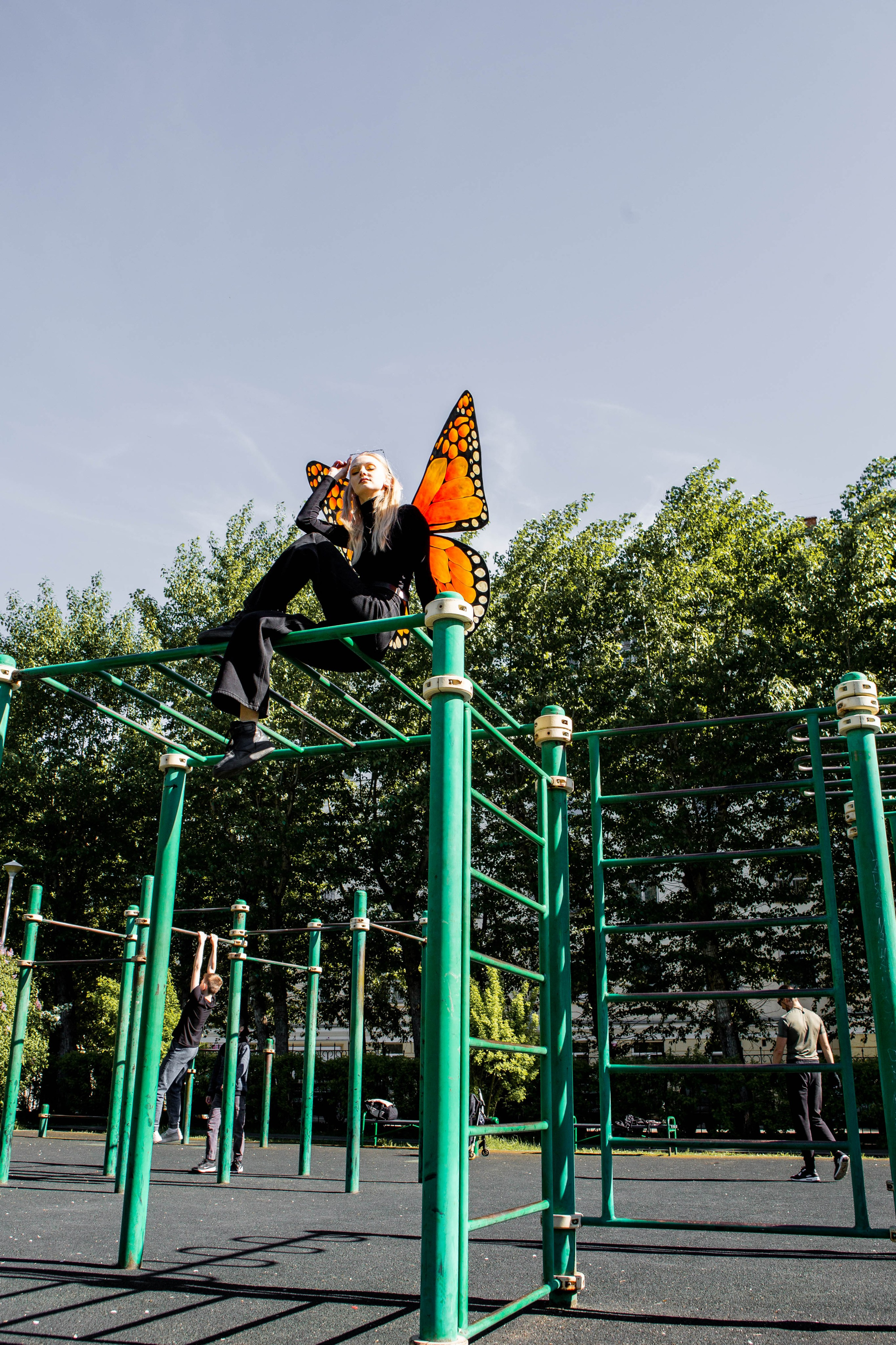 Бабочка. Фотограф Екатерина Голицына