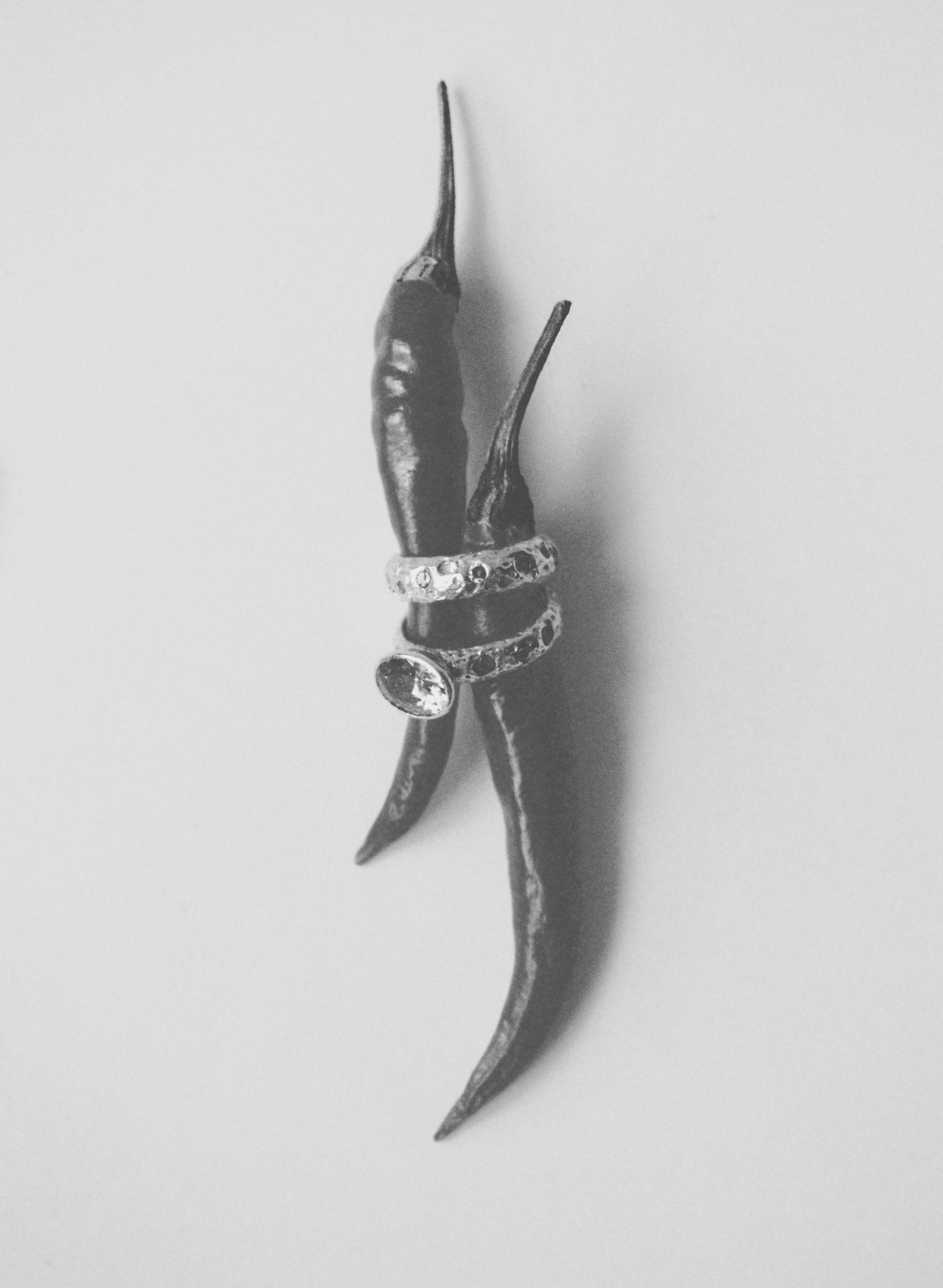 ㅤ. ㅤ