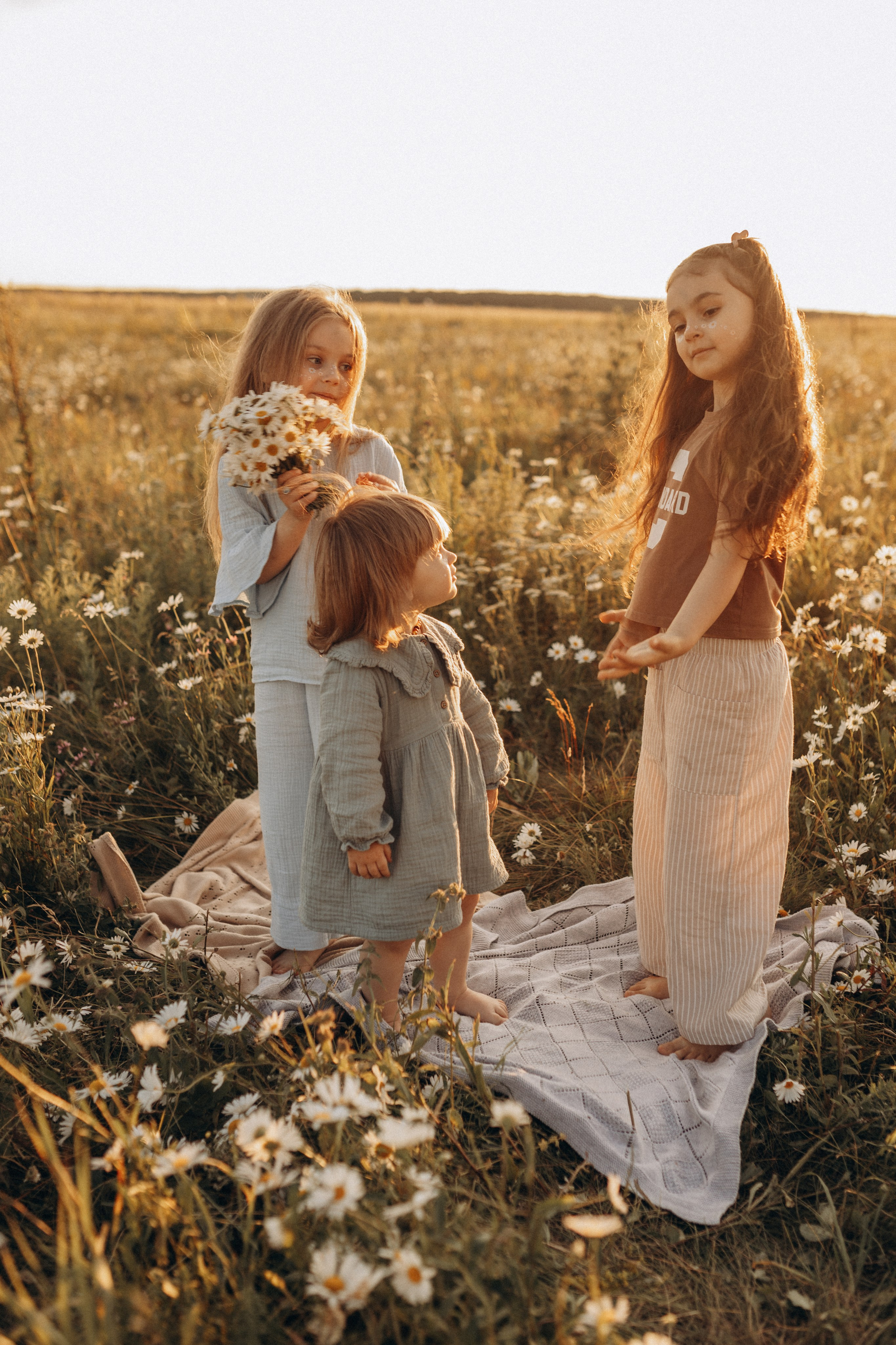 Закат на ромашковом поле. Фотограф в Ставрополе Svetlana Matveeva