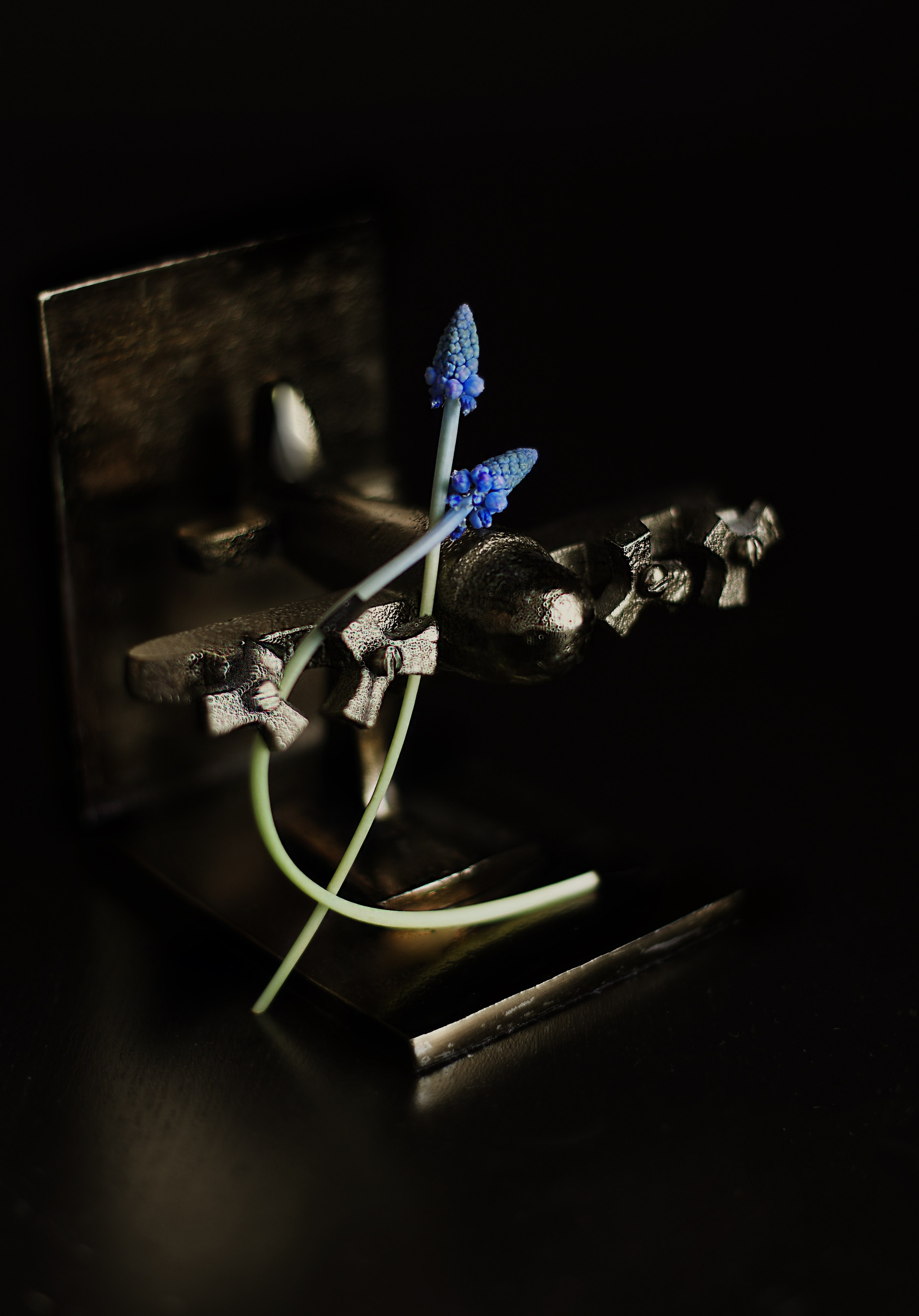 Натюрморт. Фотография как кино