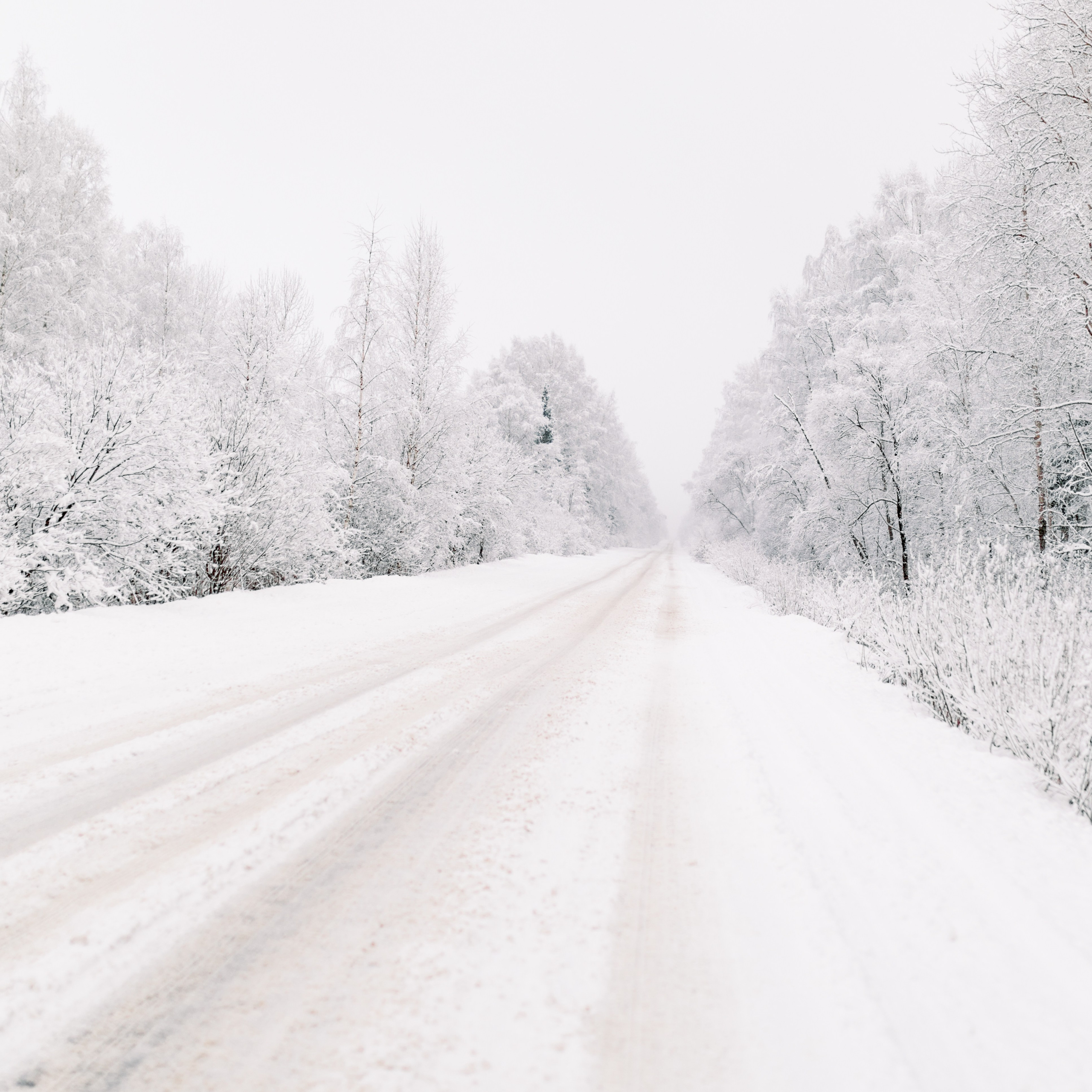 Life. Лена Крутова. Фотограф в Москве