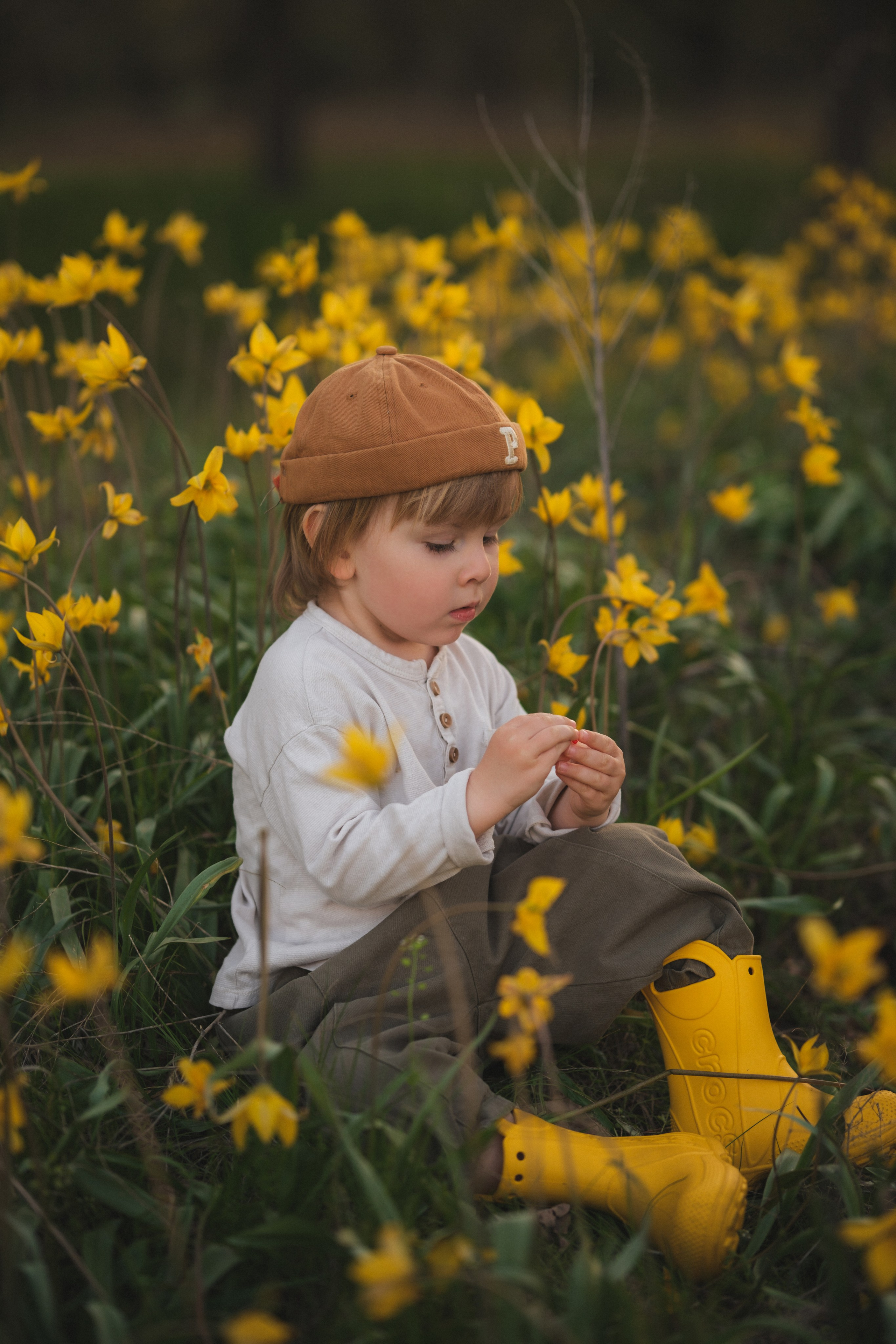 Катя, Глеб и Буч. Свадебный и семейный фотограф в Волгограде