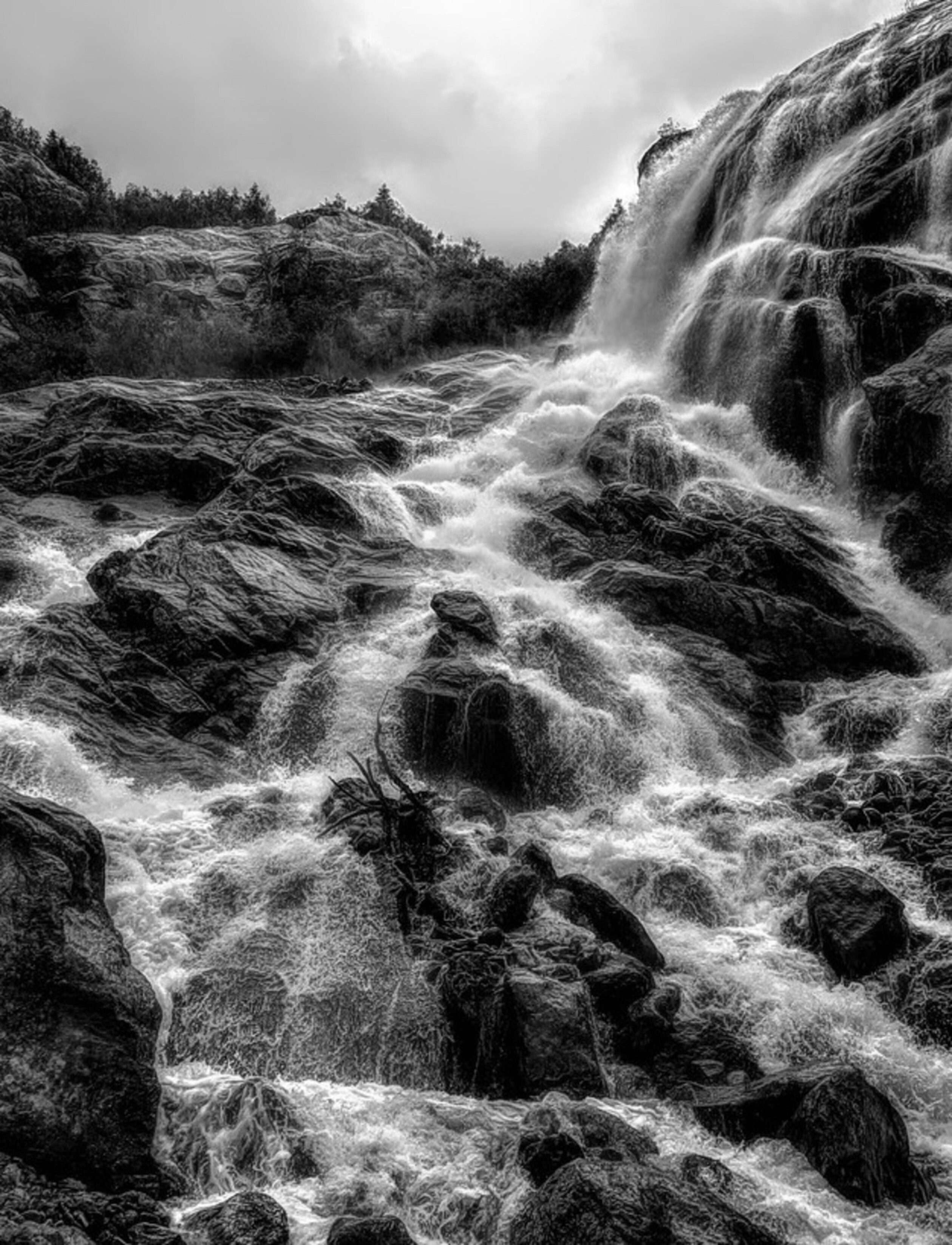 Nature. Надежда Козлова, фотограф, Санкт — Петербург