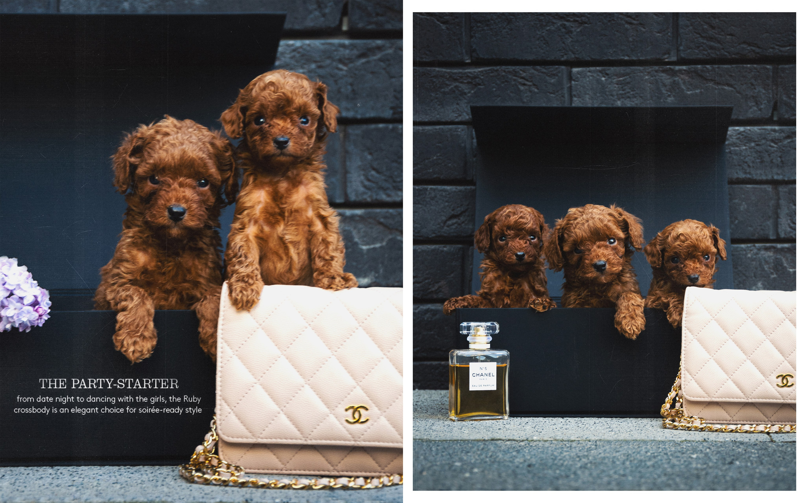 ФОТОСЕССИЯ ЩЕНКОВ. Будуарный фотограф Kris Murr|Москва|Съемки FASHION|BOUDOIR|NUDE