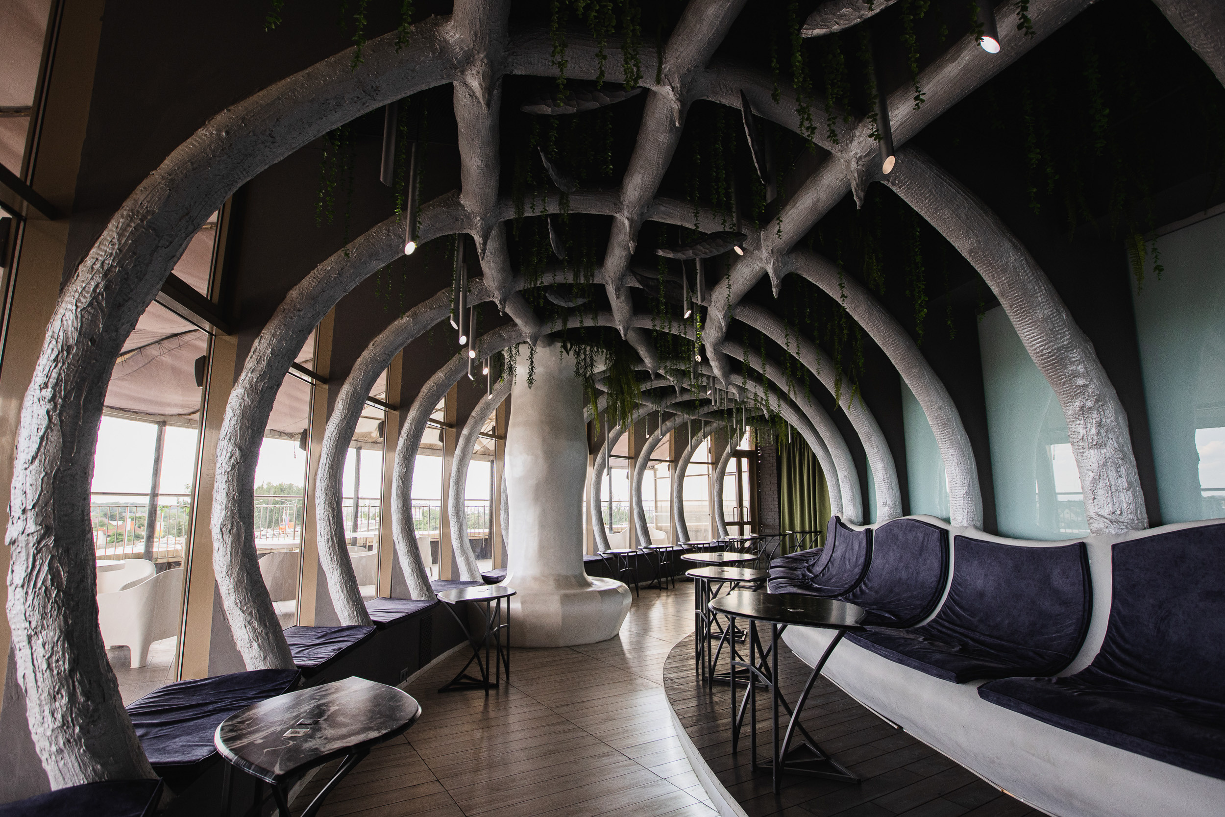 Ресторан Mishkin Mishkin. Профессиональный фотограф Иван Низиенко