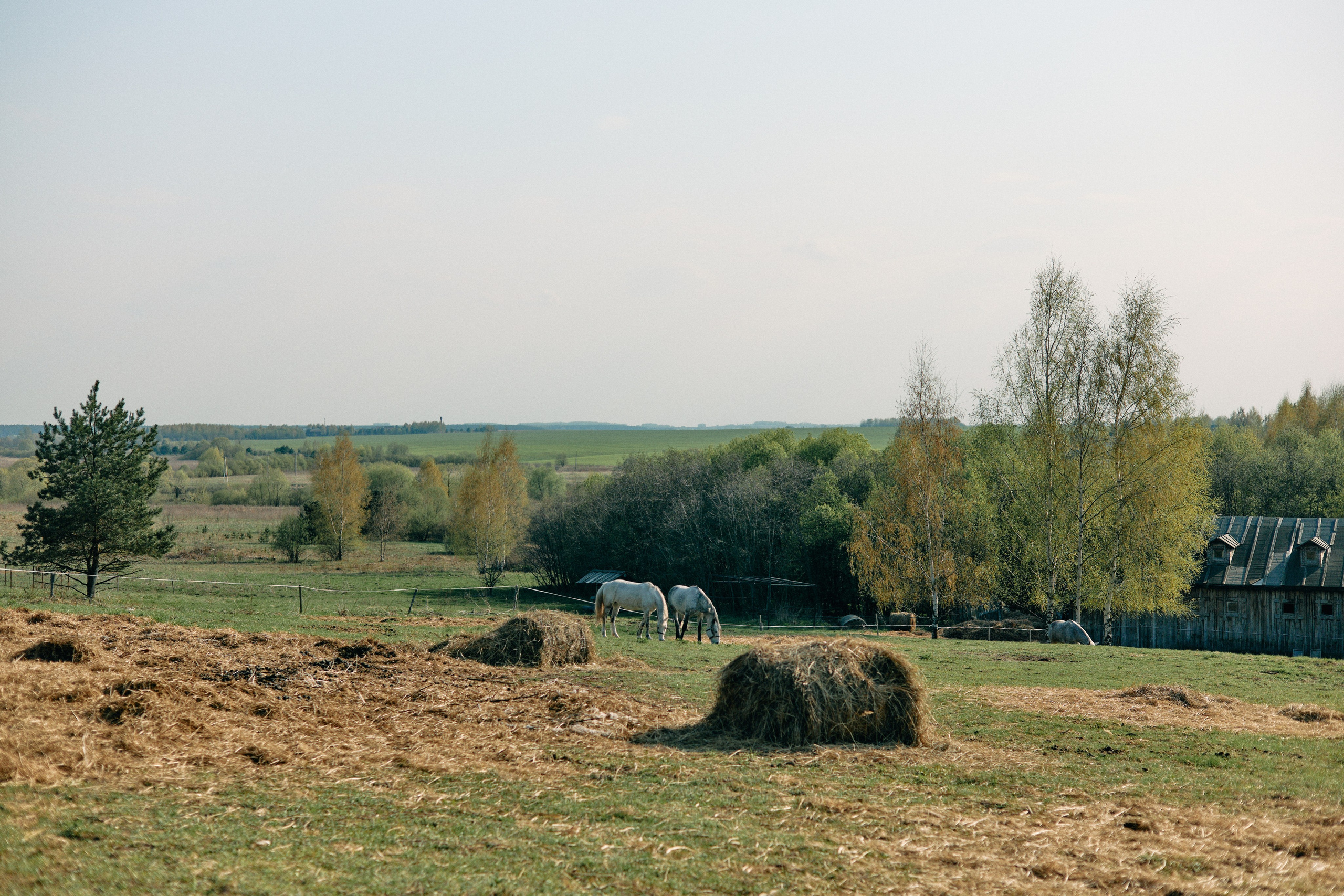 Бутик-отель Поле летом. Профессиональный Фотограф во Владимире, в Москве и в Суздале — Полина Романычева