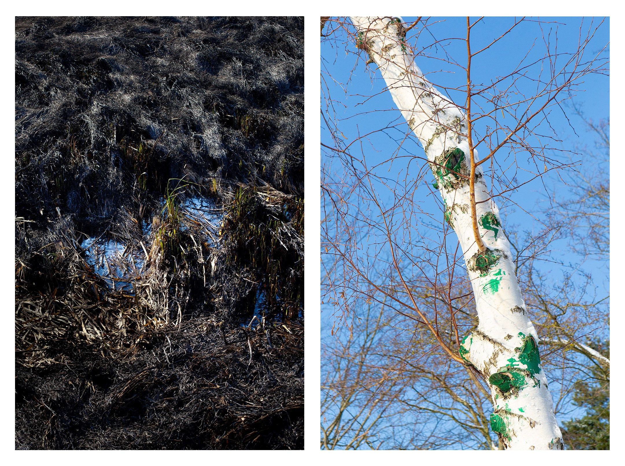 Спектакль. Фотографии Саши Любина