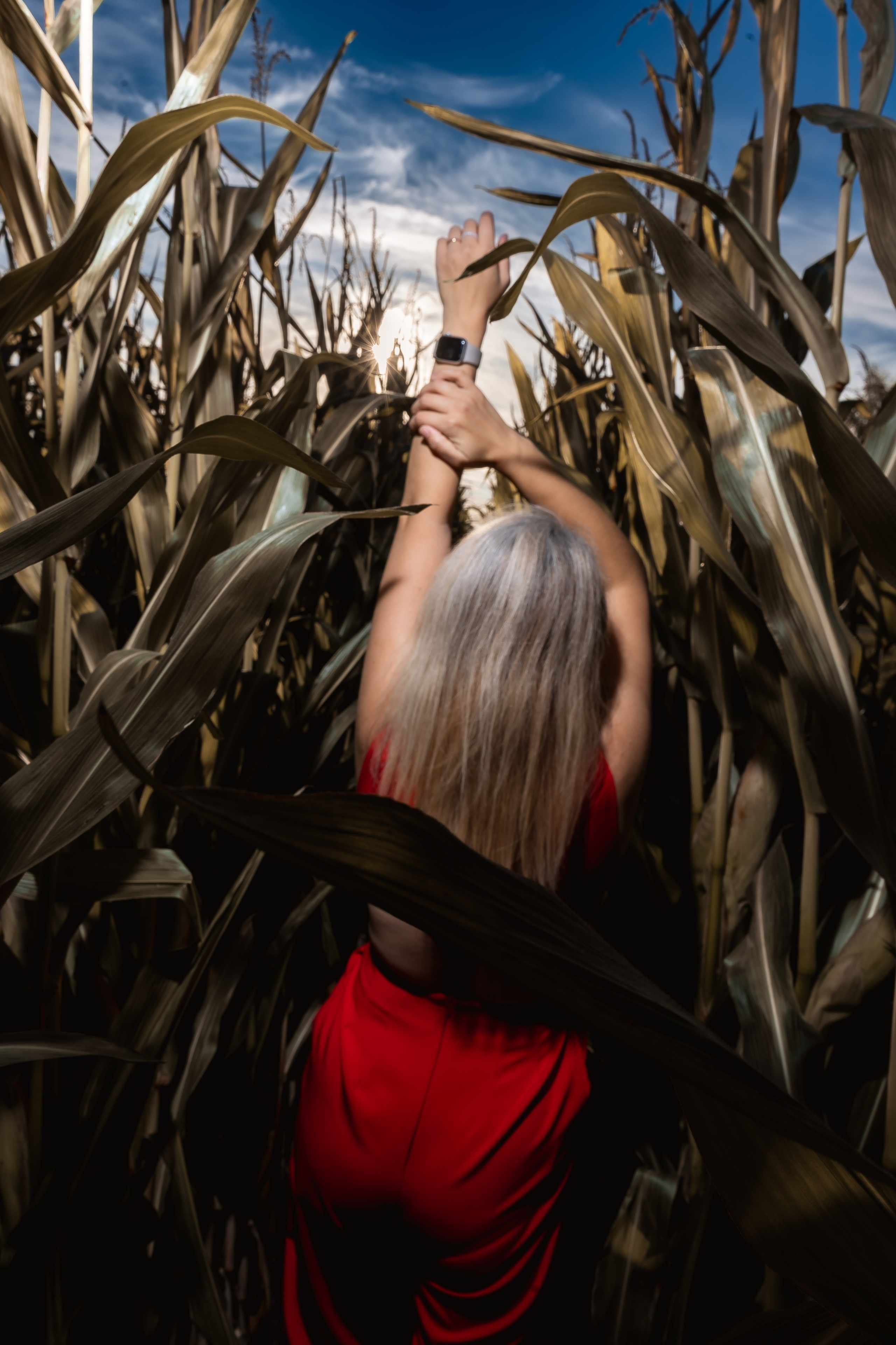 Дерзкая  нежная игривая фотосессия девушки в кукурузе
