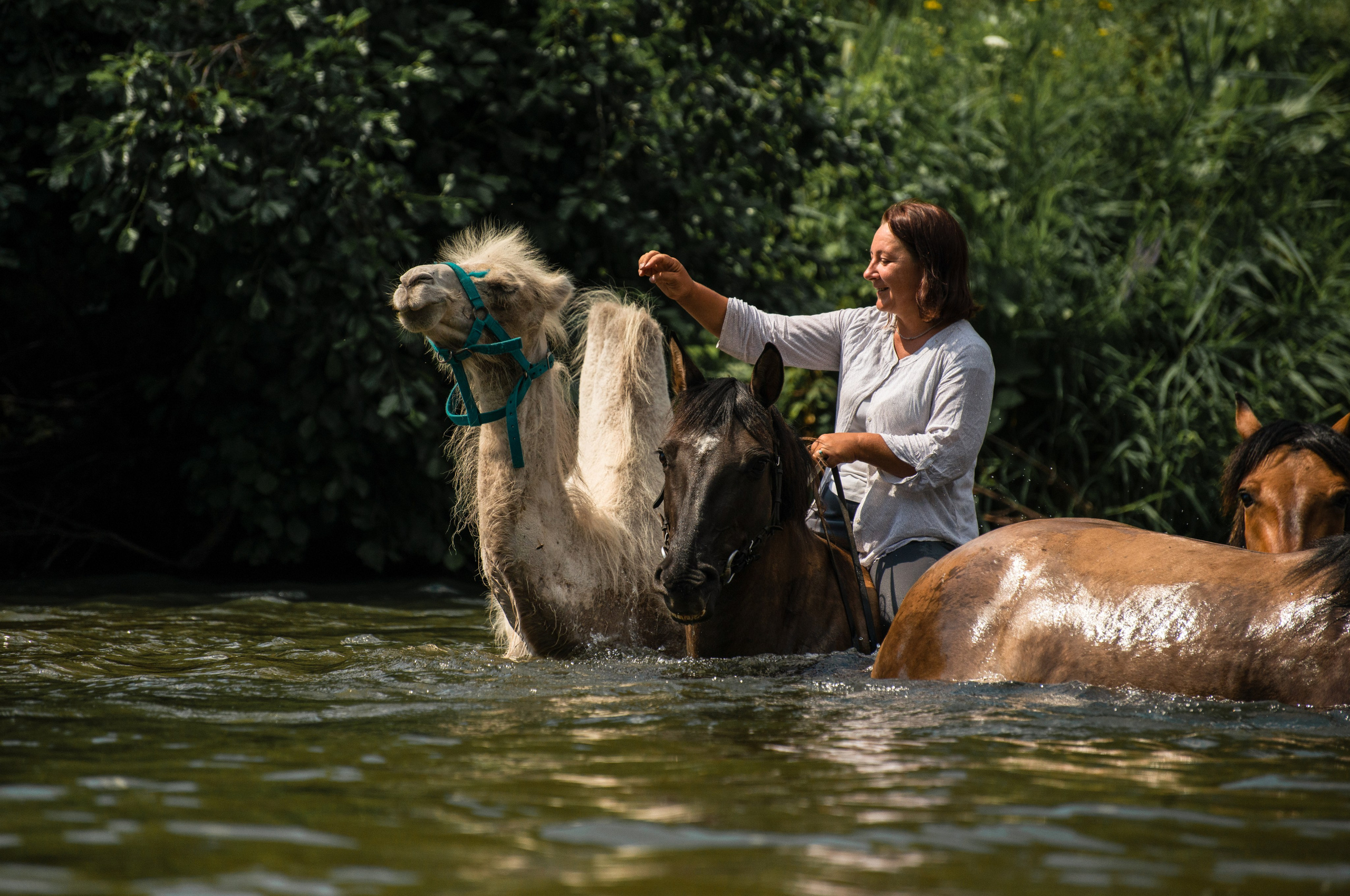 Купала в Родославном. Конный фотограф в Саратове Юлия Иванова