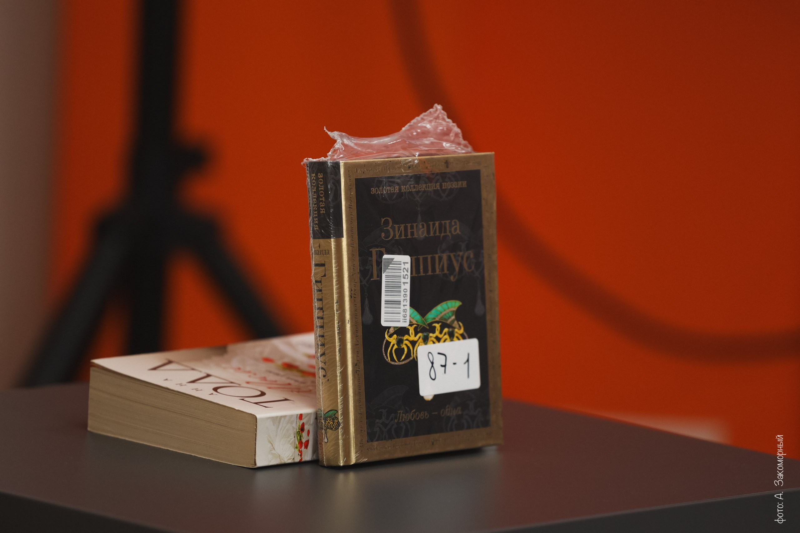 Литературные чтения. Фотомастерская Андрея Закоморного