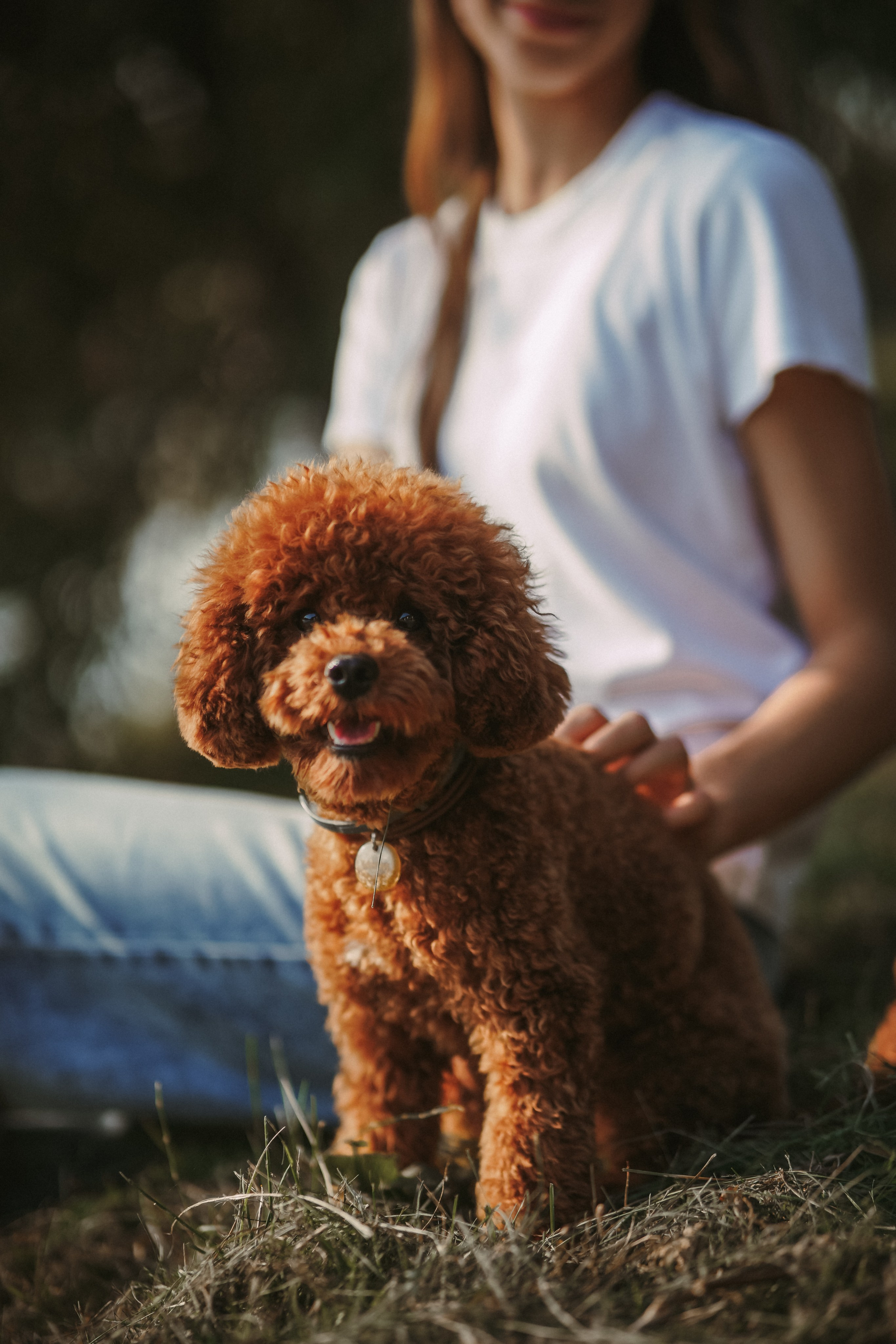 Верность. Фотограф Москва