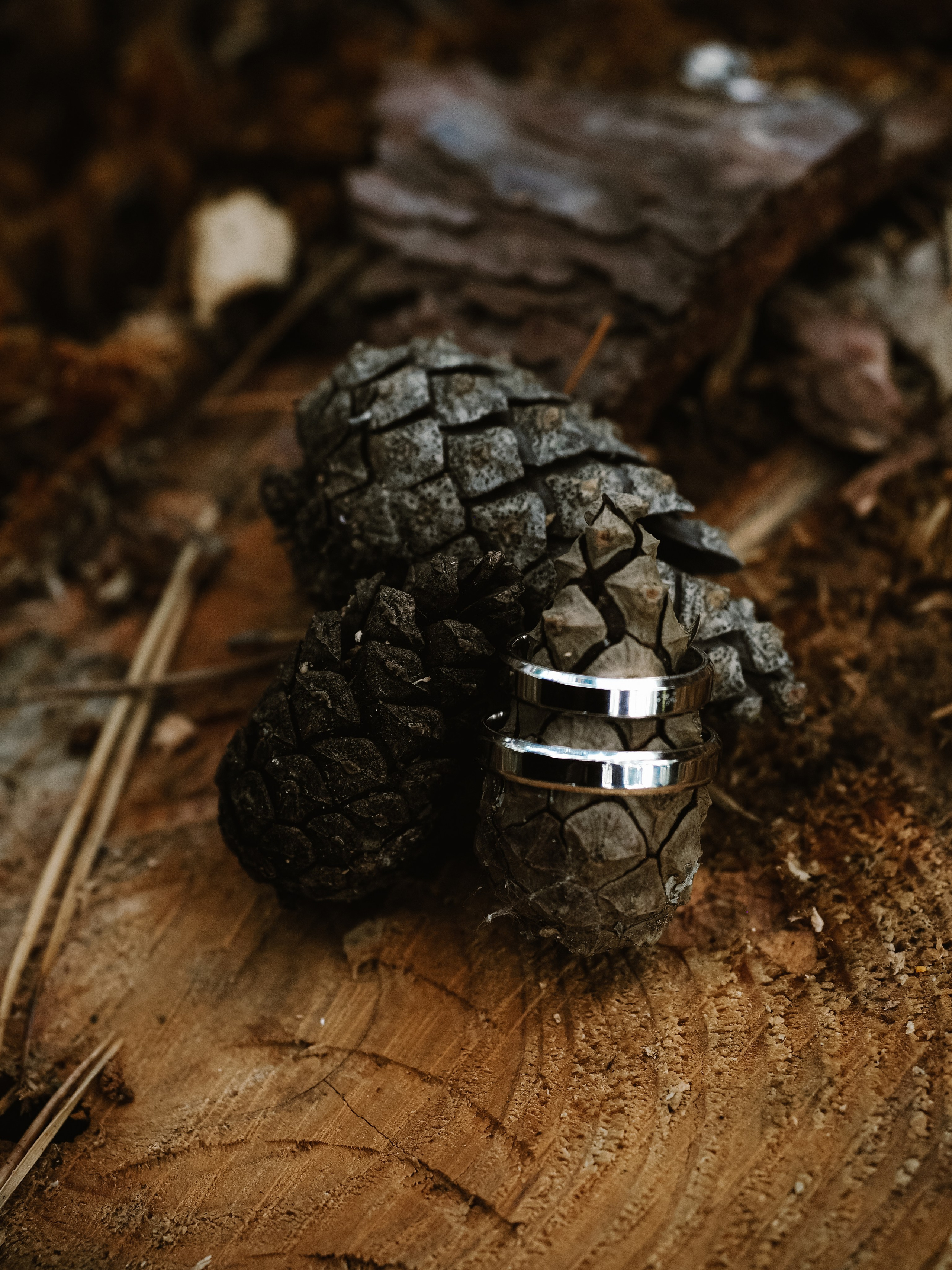 Даша и Максим. Фотограф Рязань. Семейный Свадебный фотограф