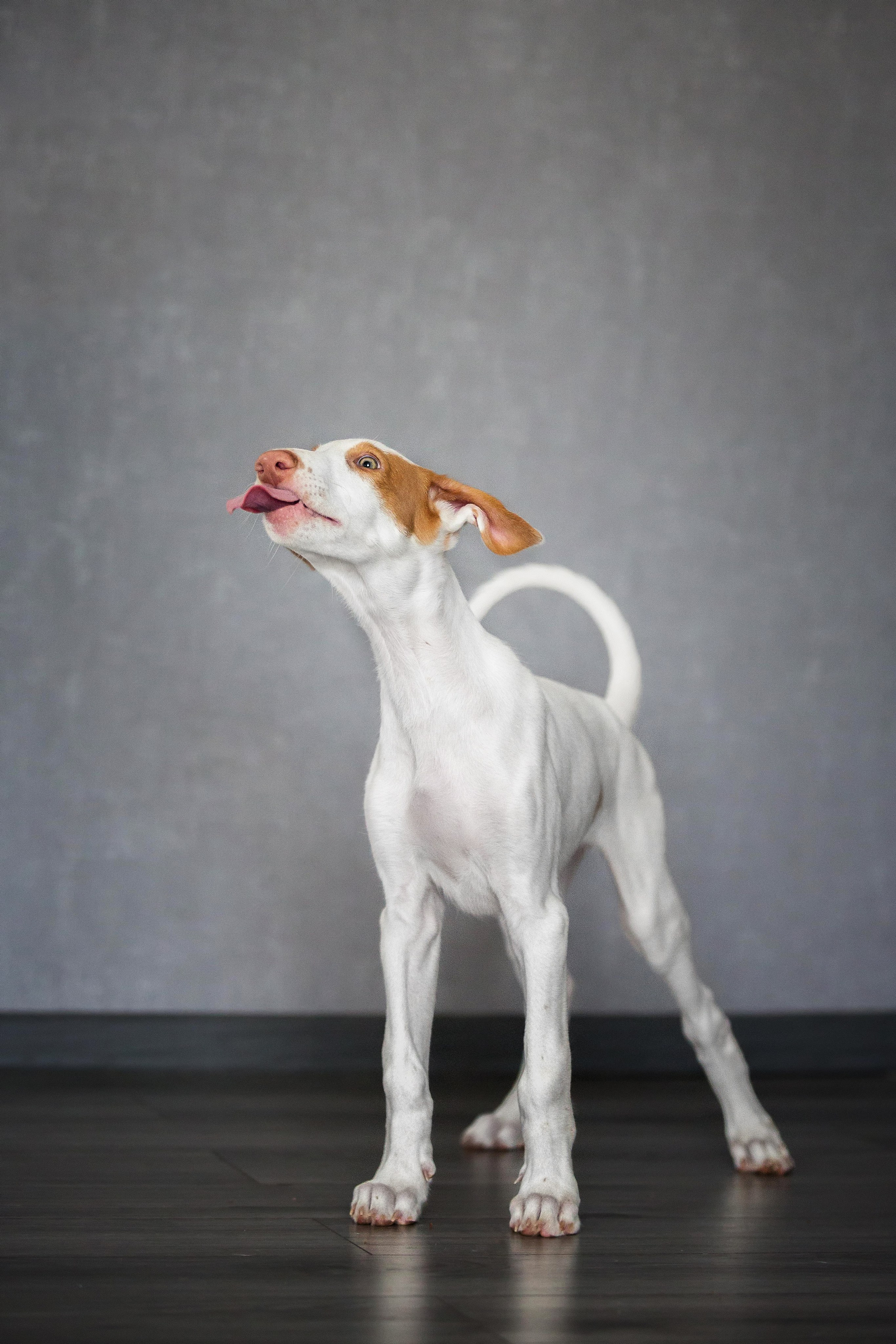 Поденко Ибиценко. Https://moshkovaphoto.ru/