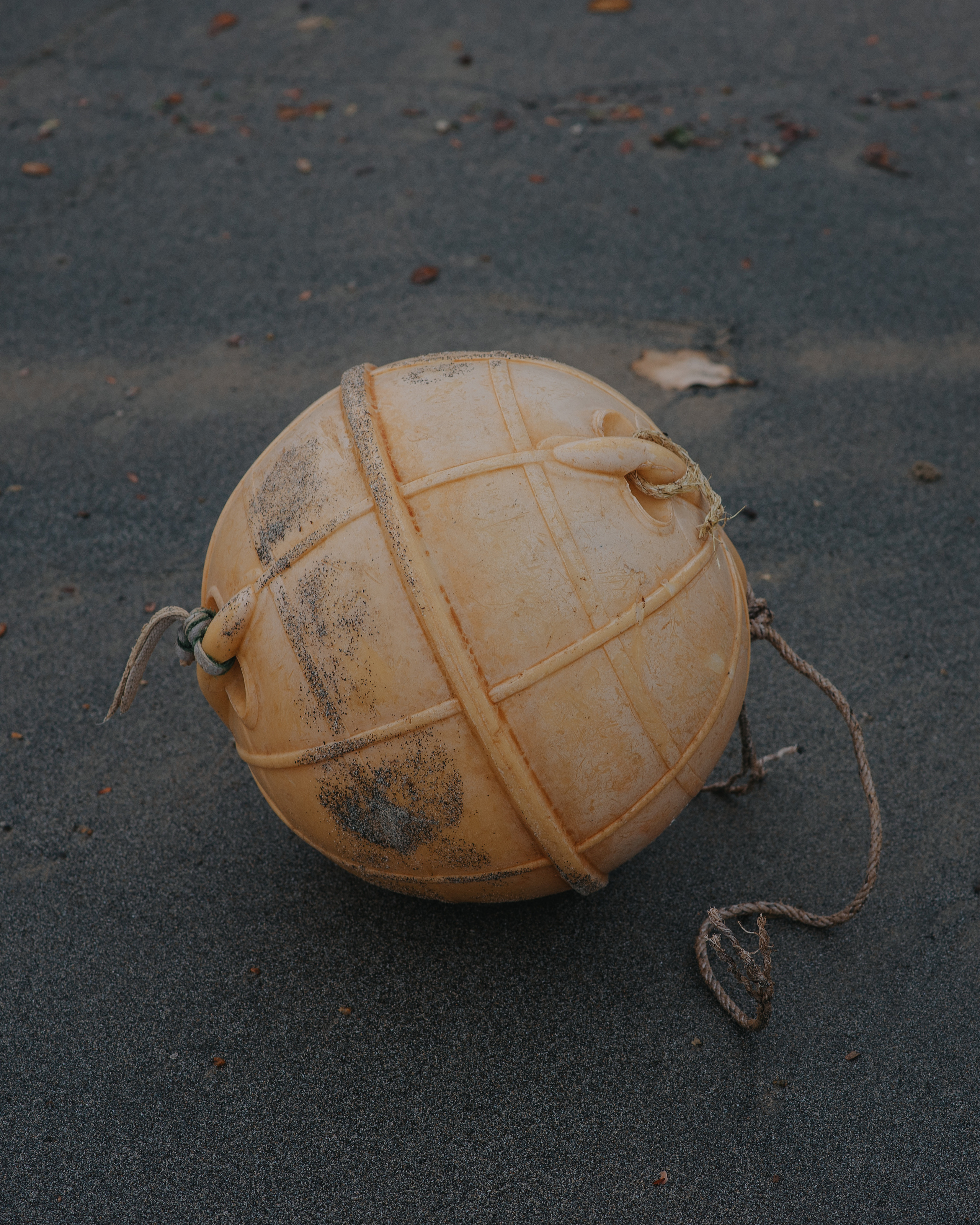 Other. Orunek photo (portrait photographer in Da Nang)