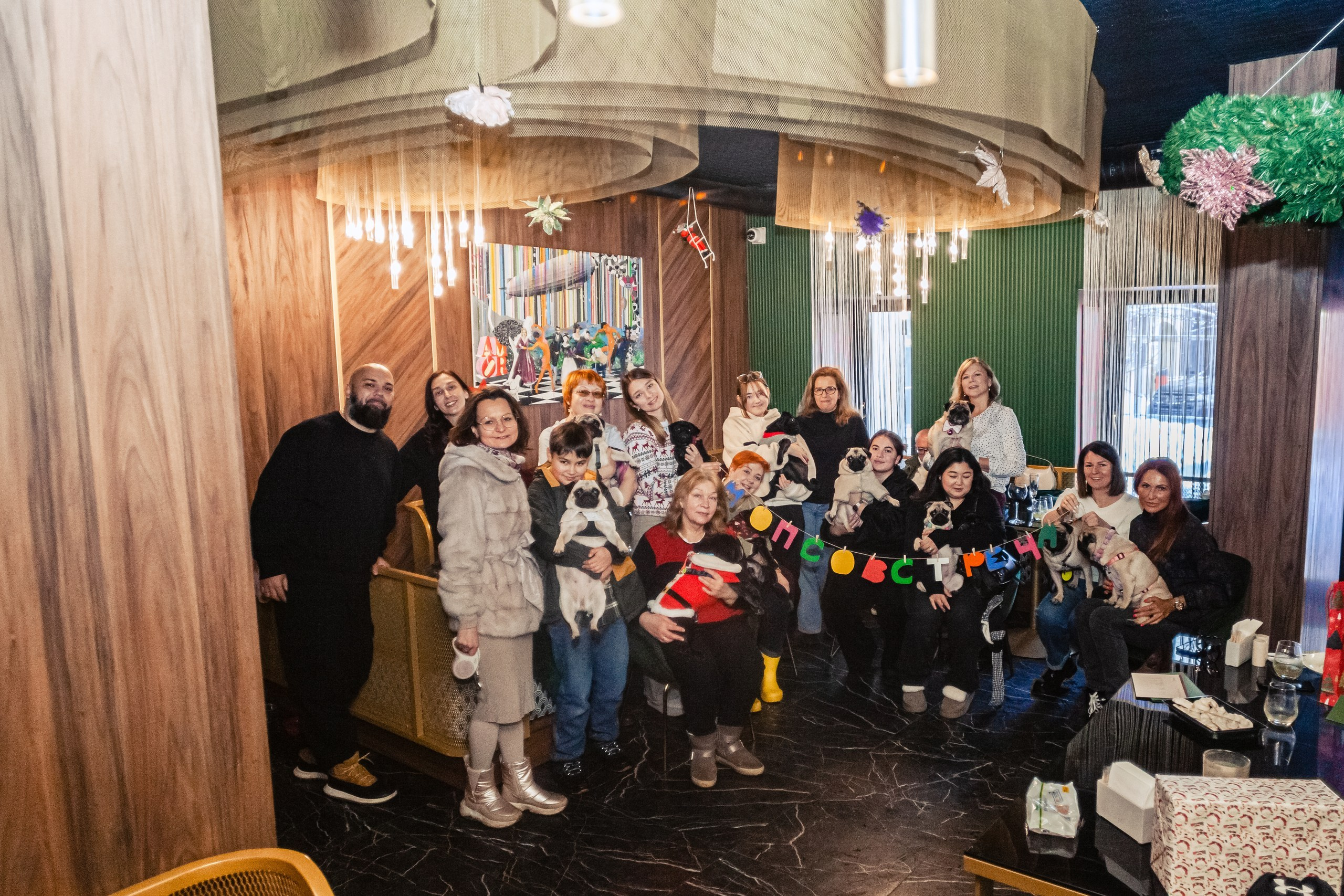 Мопсовстреча 02.12.2023. Фотограф-анималист Татьяна Степанова