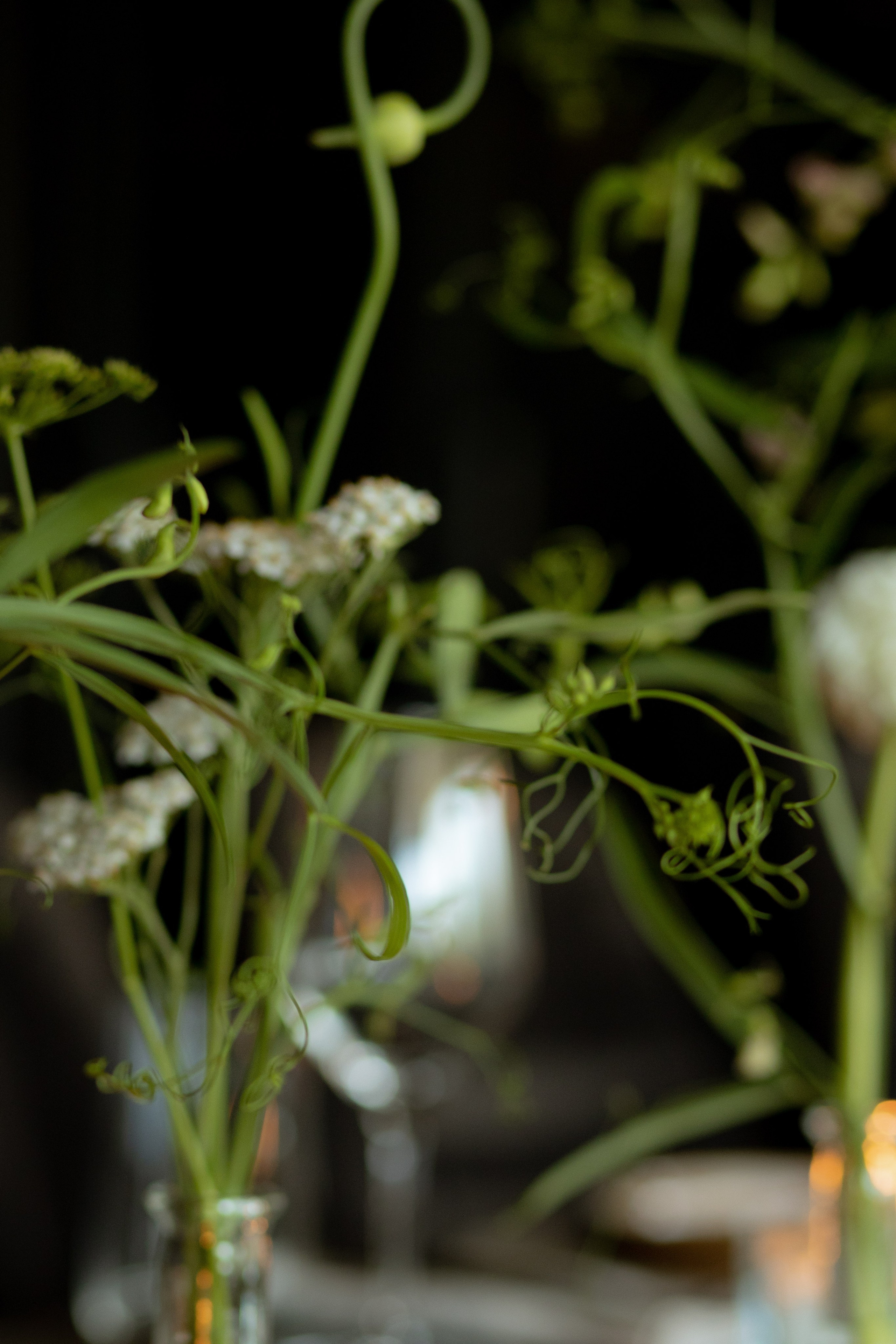 Алина & Николай. Оформление свадеб, декор свадеб Вера Маркова, Москва