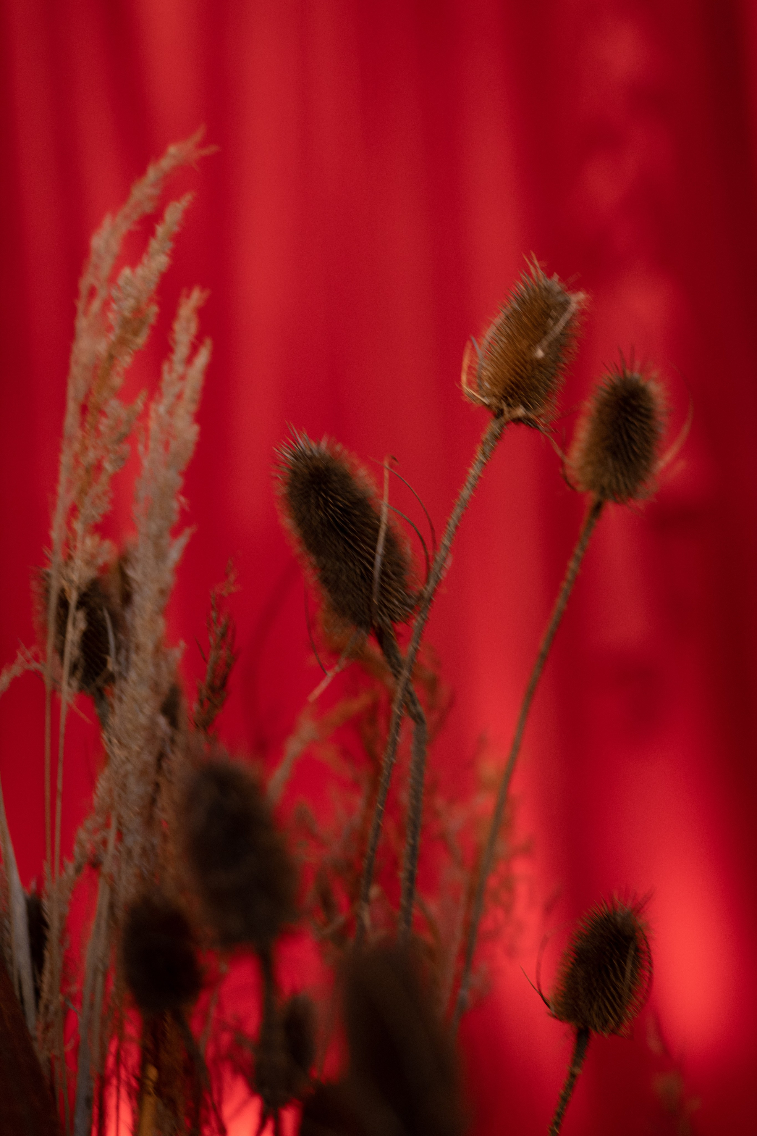 Новогодний корпоратив в фольклорном стиле. Особняк Лемана. Оформление свадеб, декор свадеб Вера Маркова, Москва