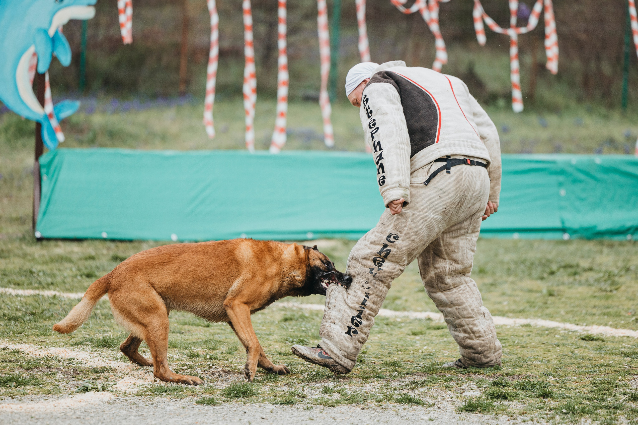 Геленджик Мондьоринг. Фотограф-анималист Анна Маринич