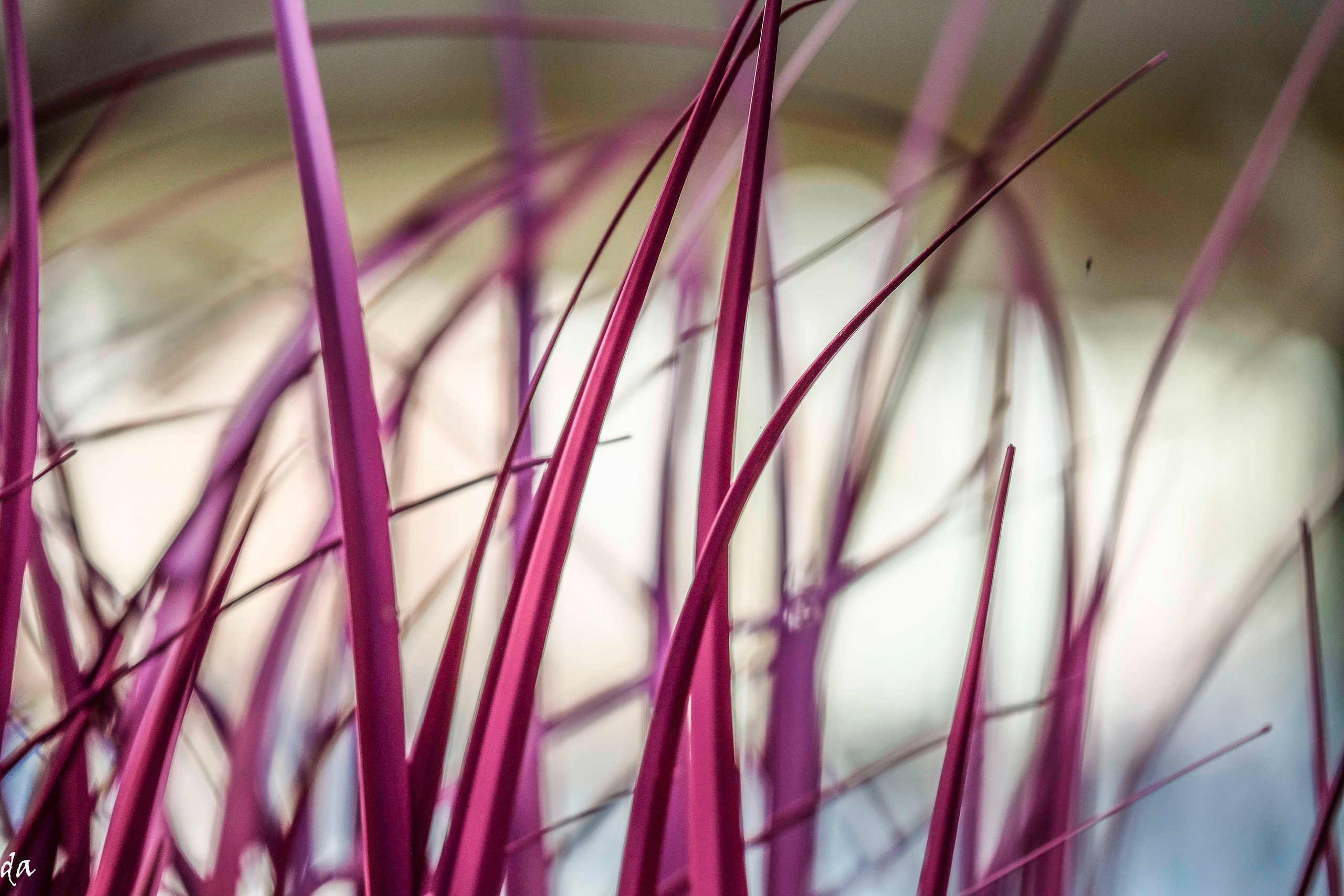 Завтрак Human. Фотограф Дмитрий Алексеев