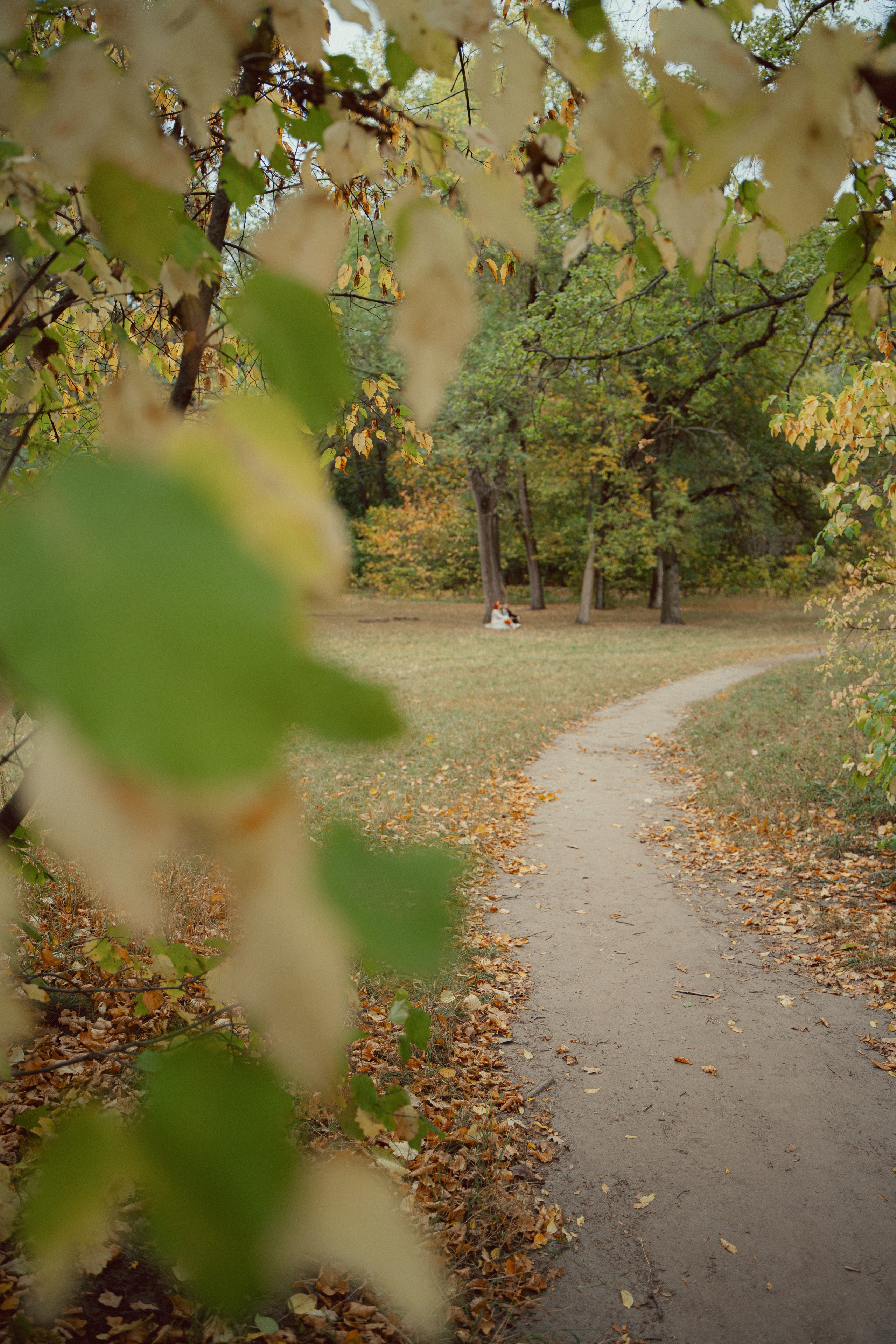Динамо. Фотограф Мария Зайчик