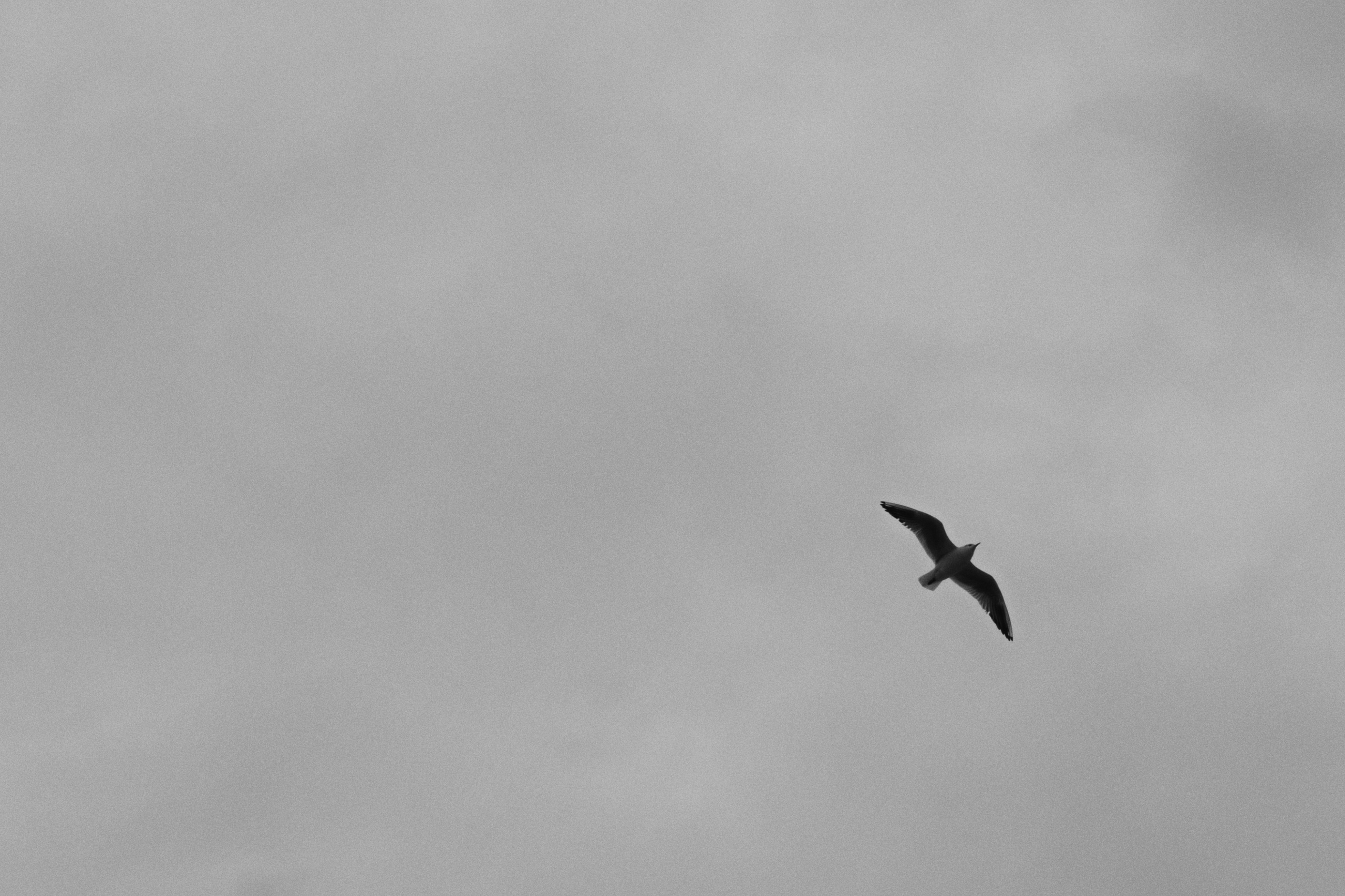 Kadikoy x Moda, Istanbul / Türkey AW26. Фотограф Юрин Евгений