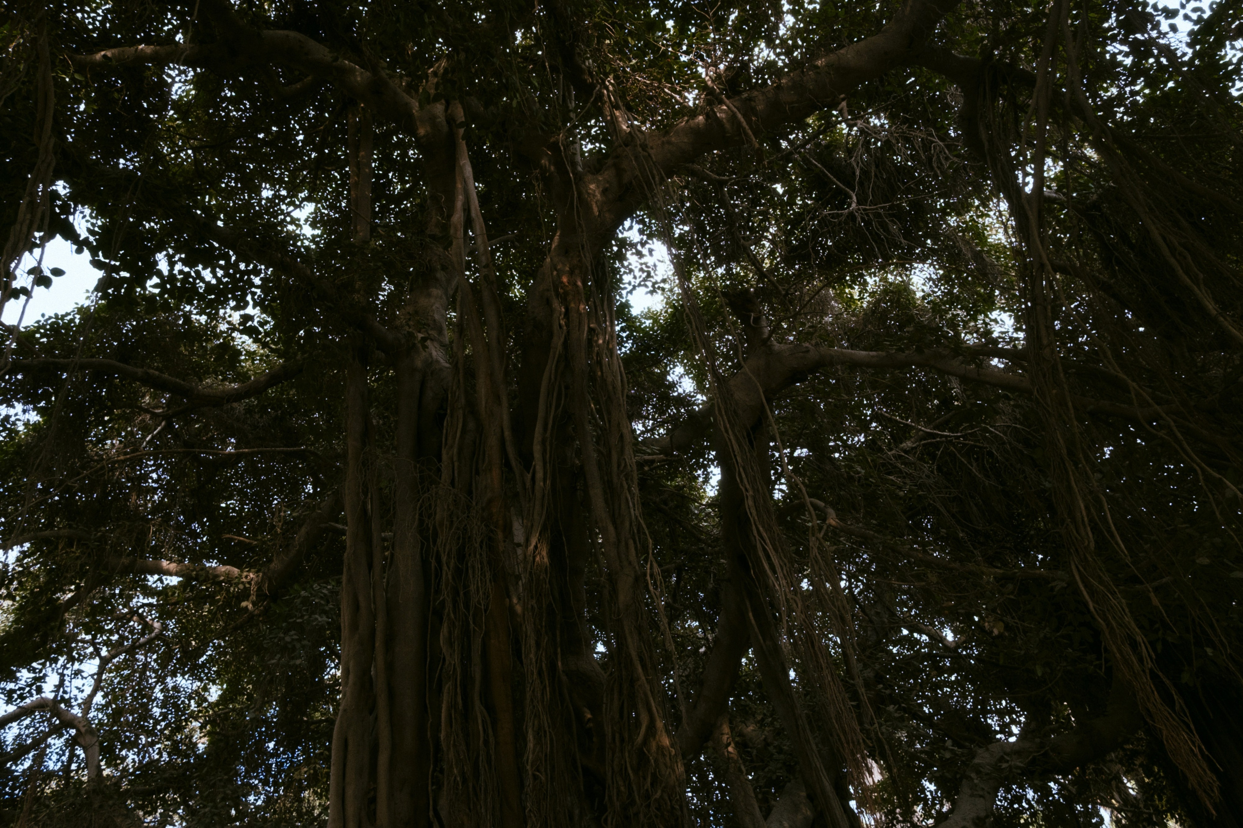 Cairo / Egypt AW25. Фотограф Юрин Евгений