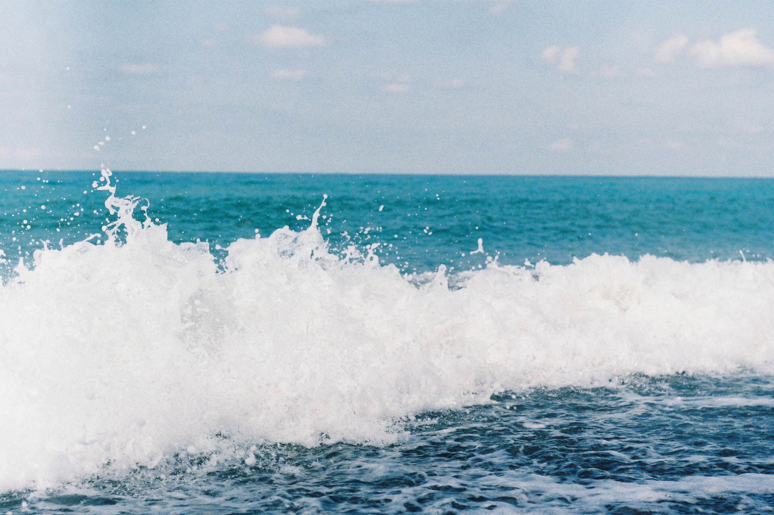 Сочи. Портретный фотограф | Олеся Комарова | Екатеринбург