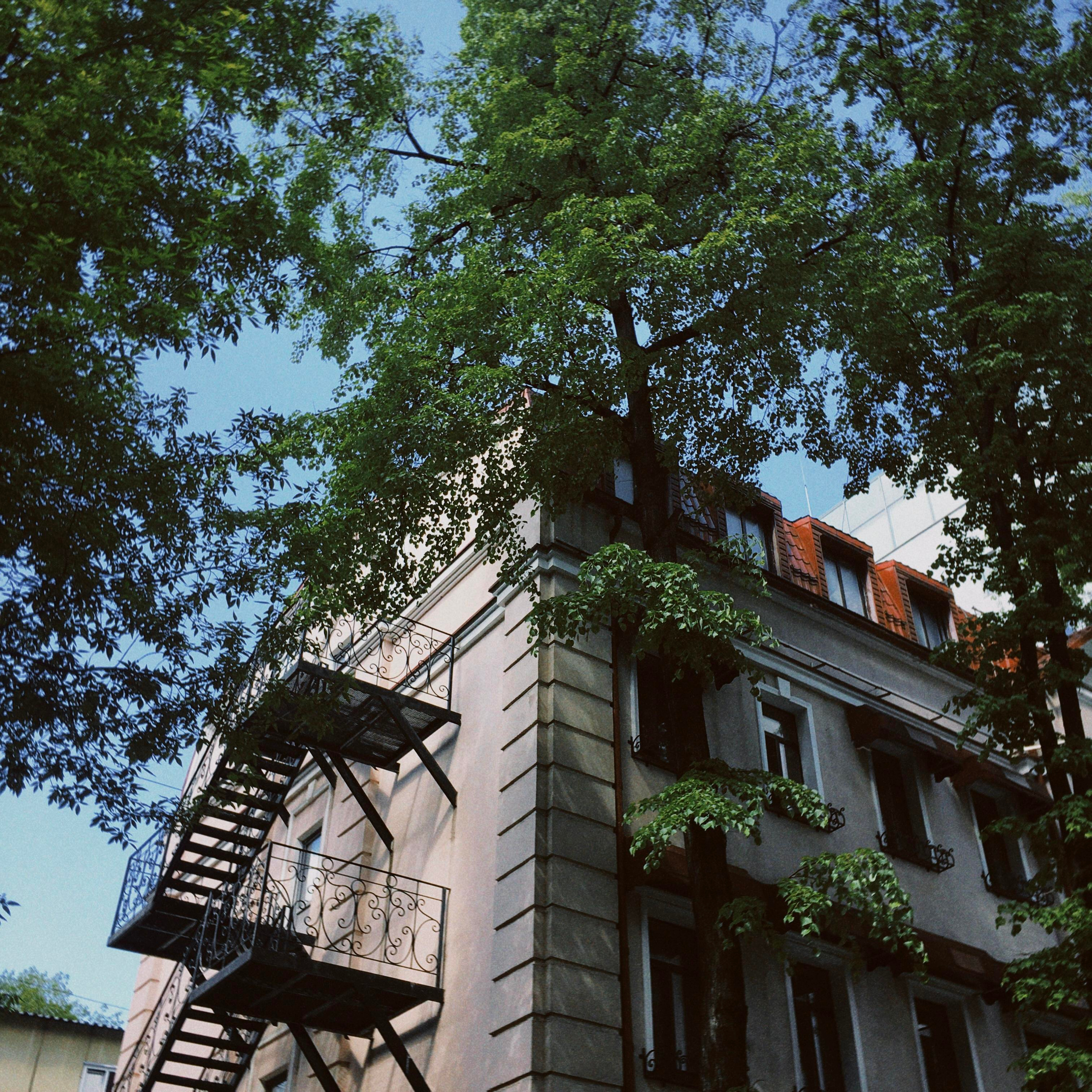 Москва. Портретный фотограф | Олеся Комарова | Екатеринбург