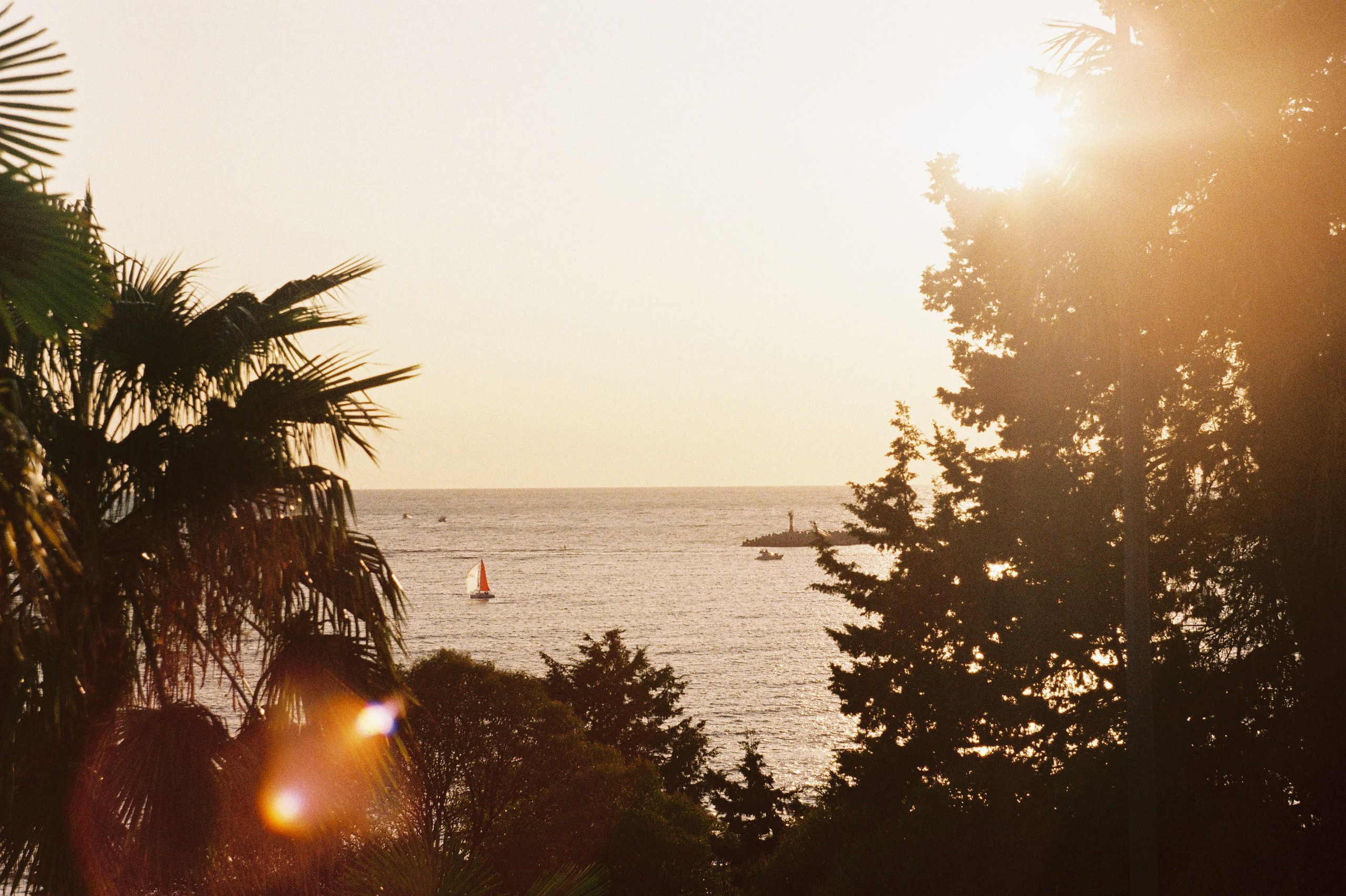 Сочи. Портретный фотограф | Олеся Комарова | Екатеринбург