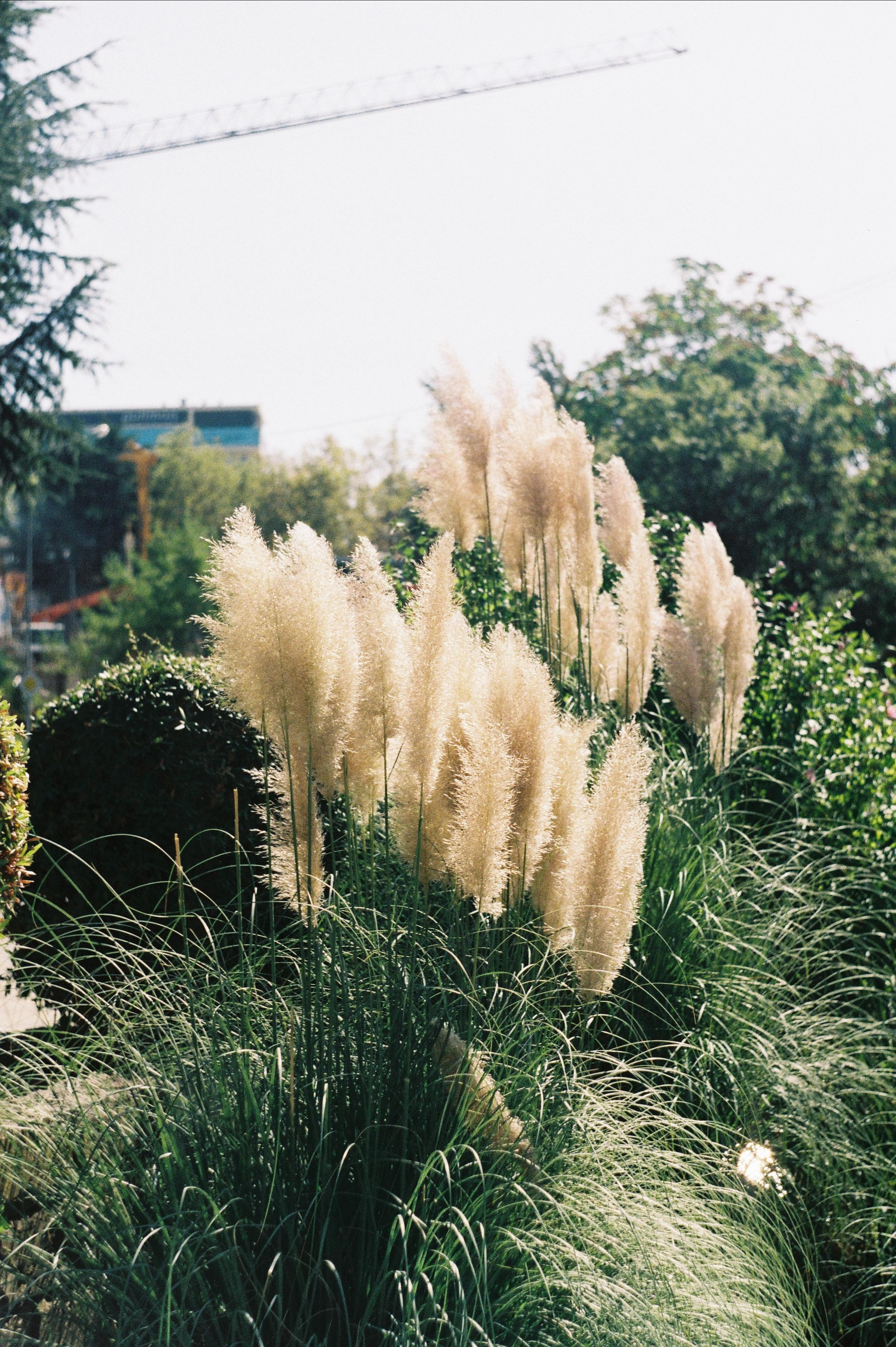 Сочи. Портретный фотограф | Олеся Комарова | Екатеринбург