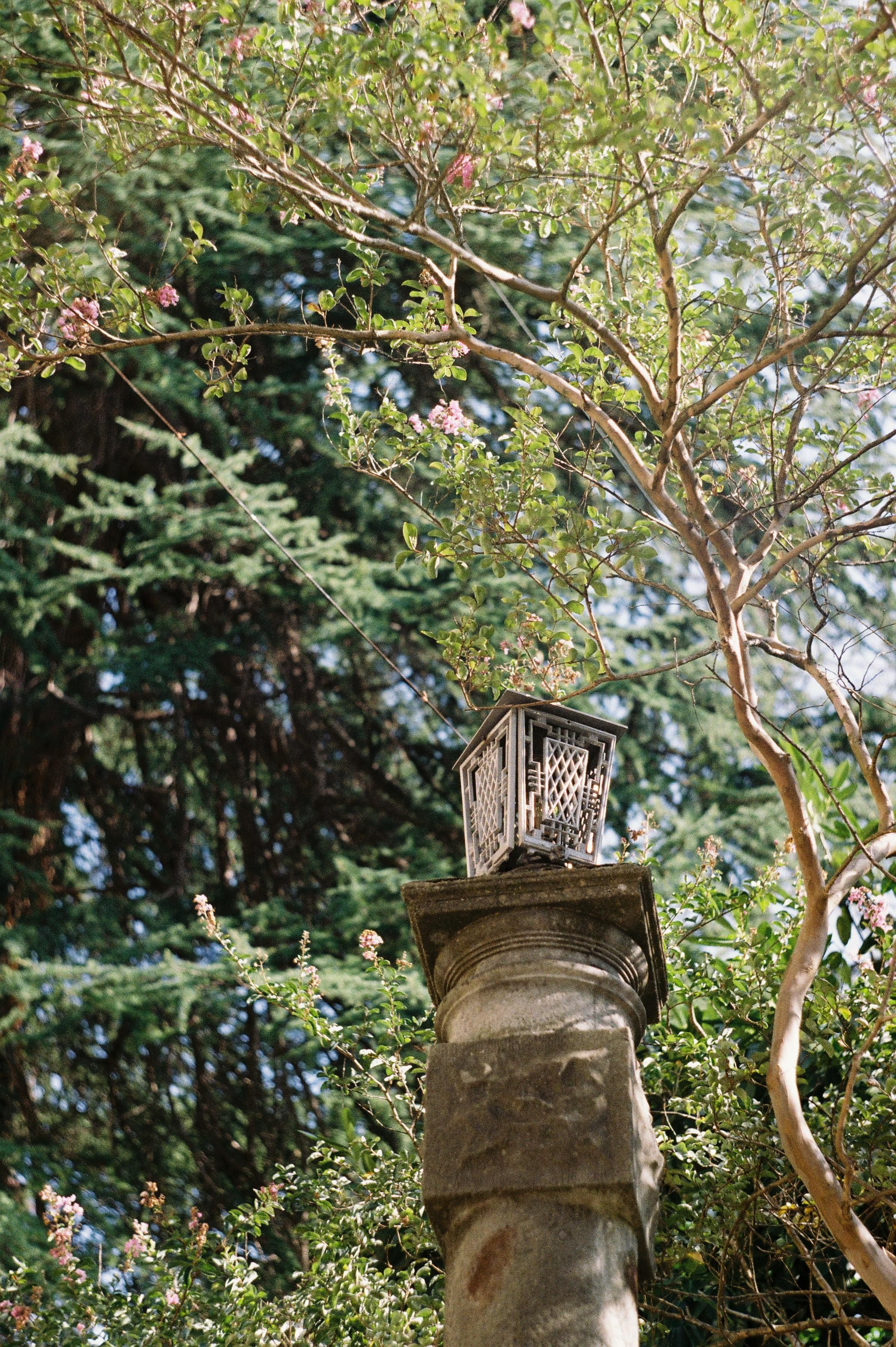 Сочи. Портретный фотограф | Олеся Комарова | Екатеринбург