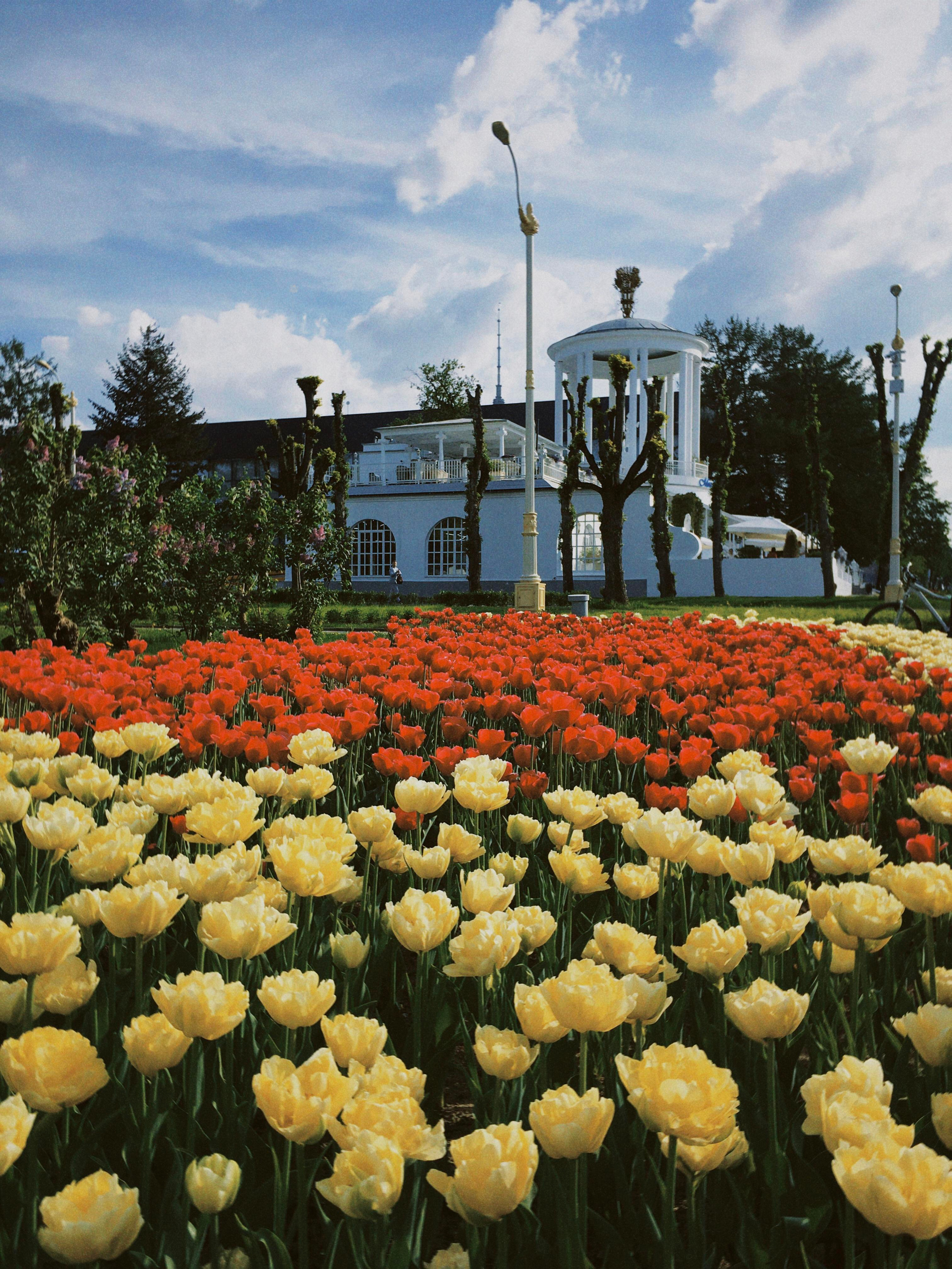 Москва. Портретный фотограф | Олеся Комарова | Екатеринбург