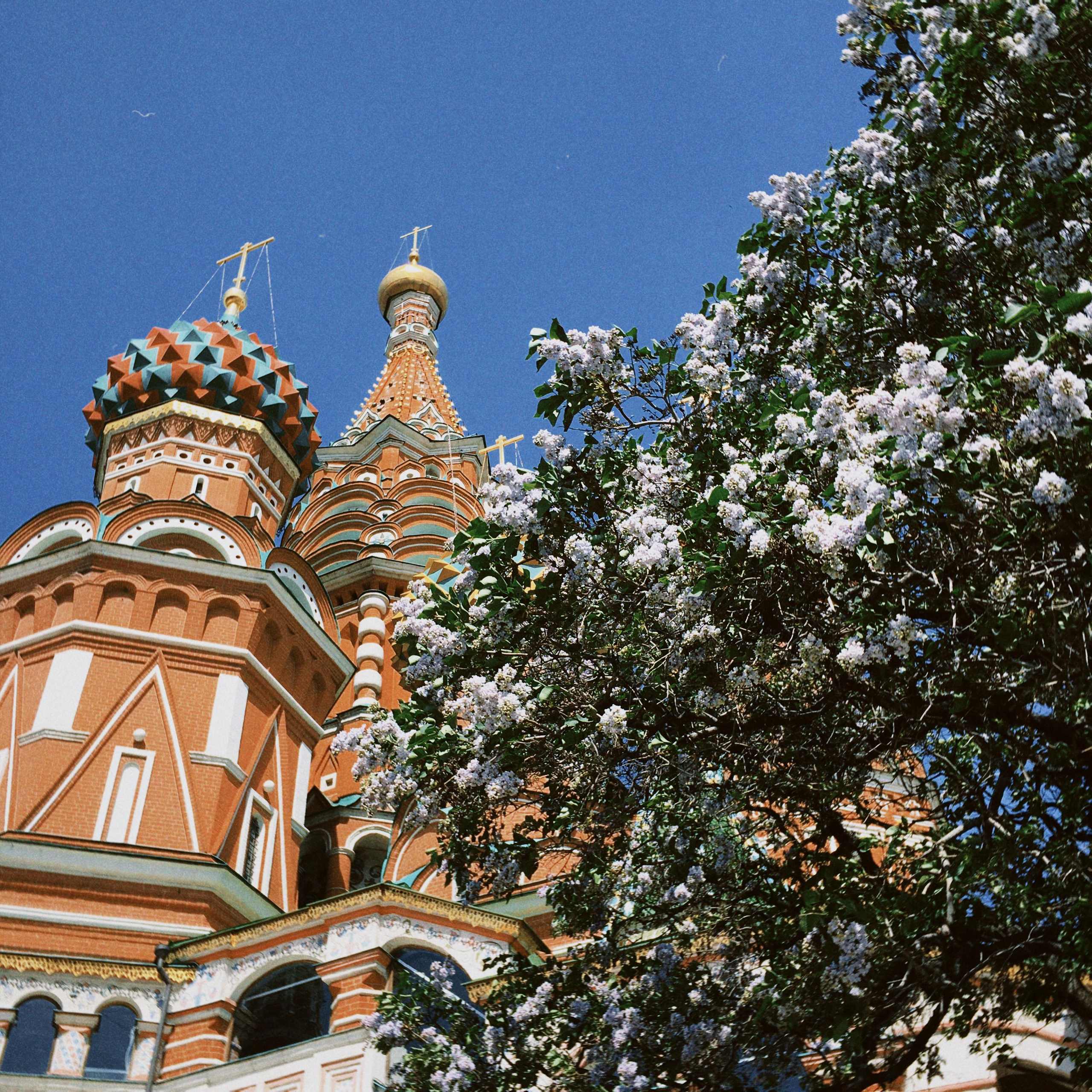 Москва. Портретный фотограф | Олеся Комарова | Екатеринбург