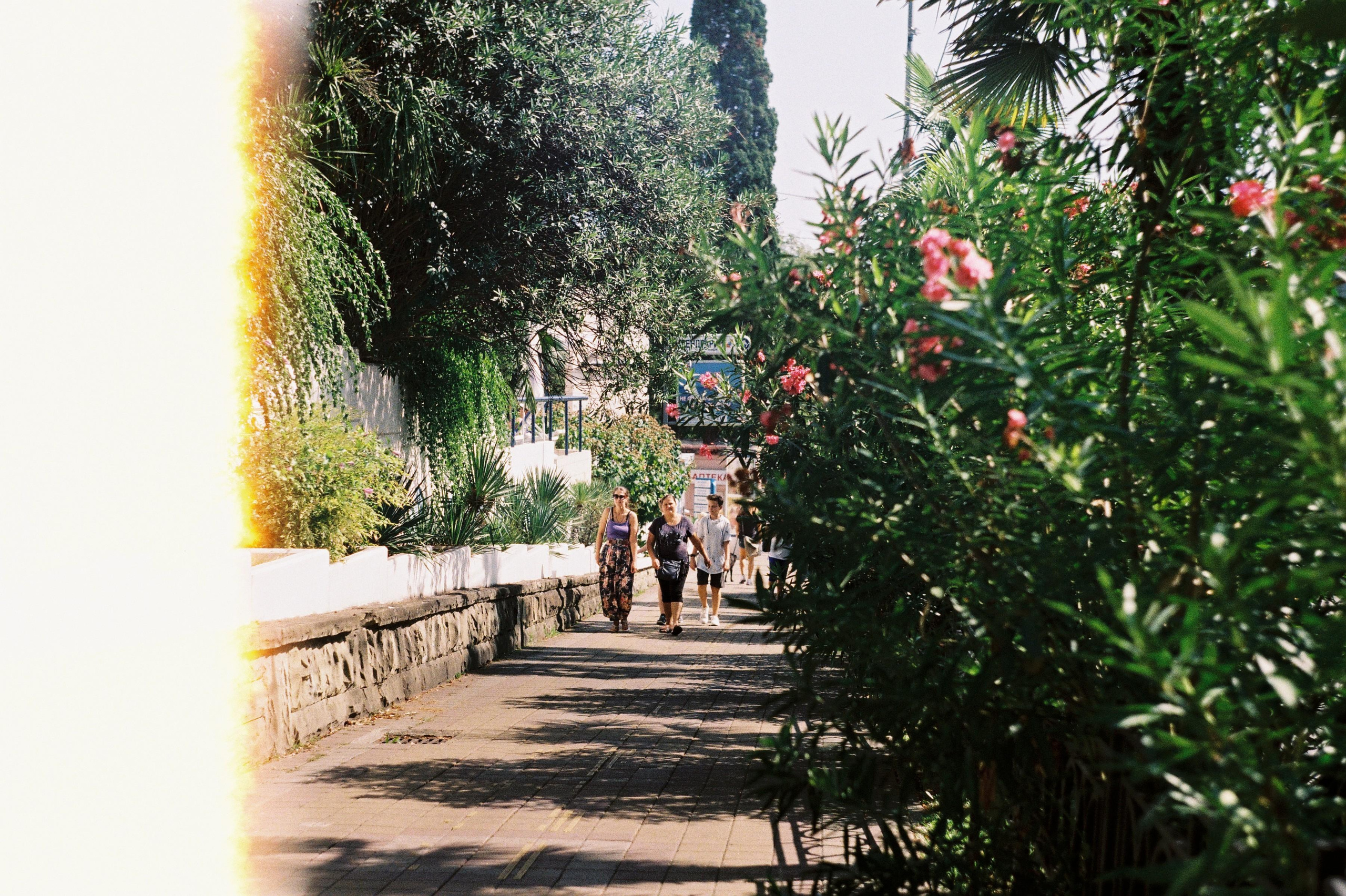 Сочи. Портретный фотограф | Олеся Комарова | Екатеринбург