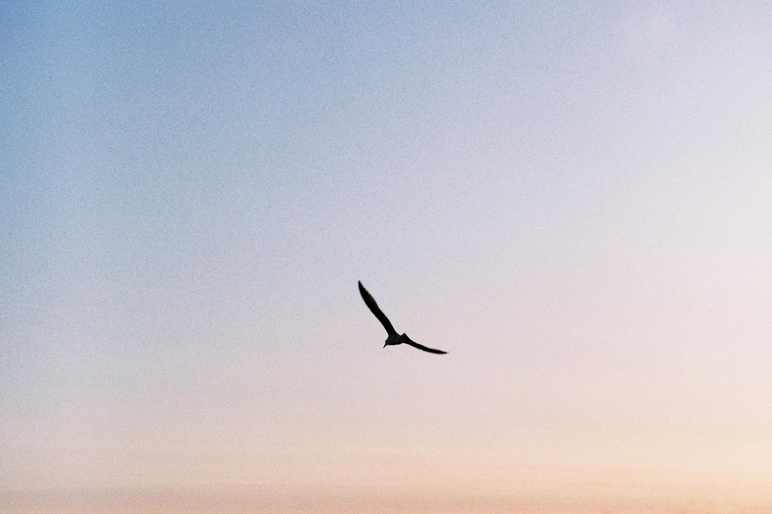 Сочи. Портретный фотограф | Олеся Комарова | Екатеринбург