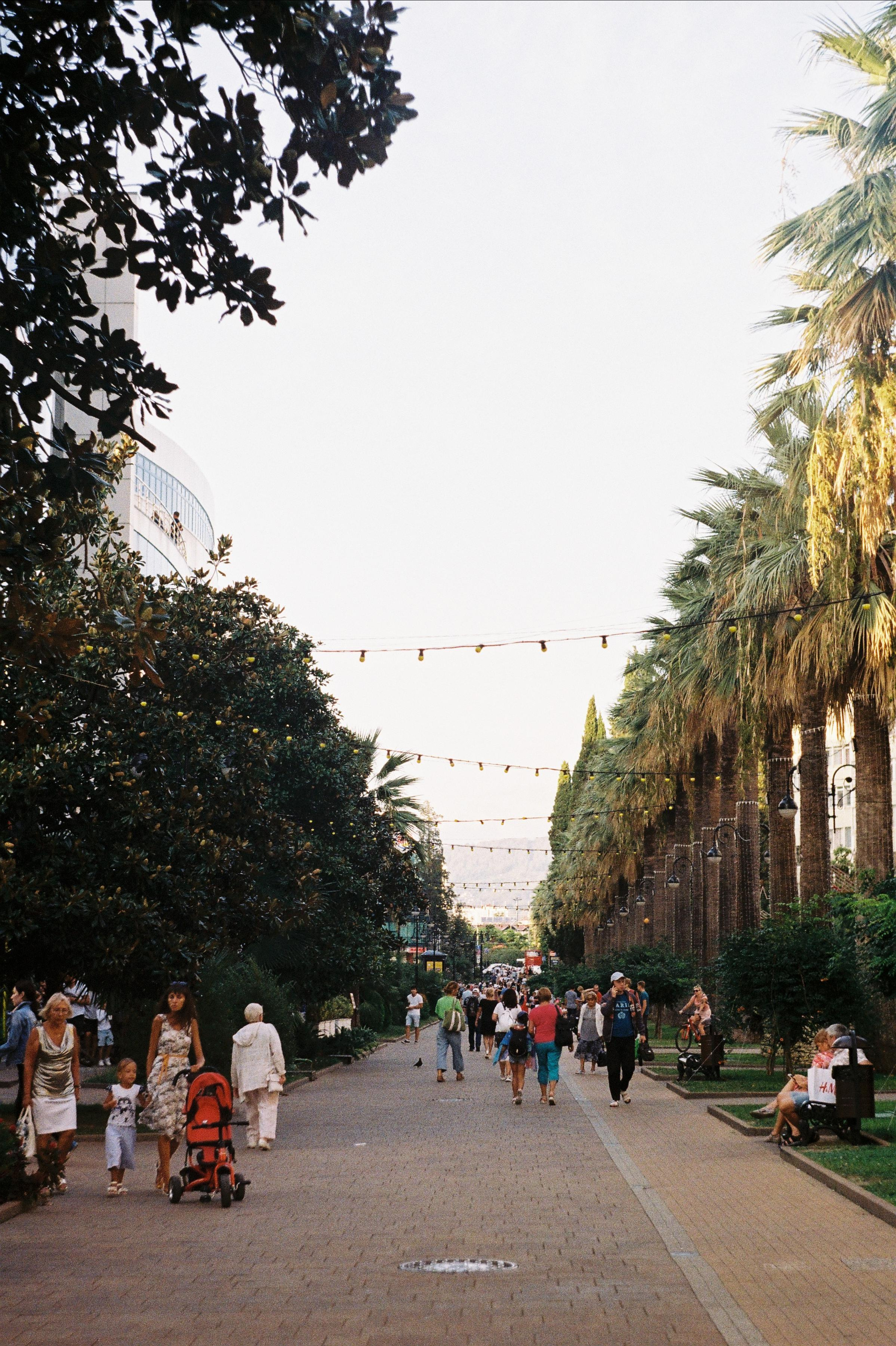 Сочи. Портретный фотограф | Олеся Комарова | Екатеринбург