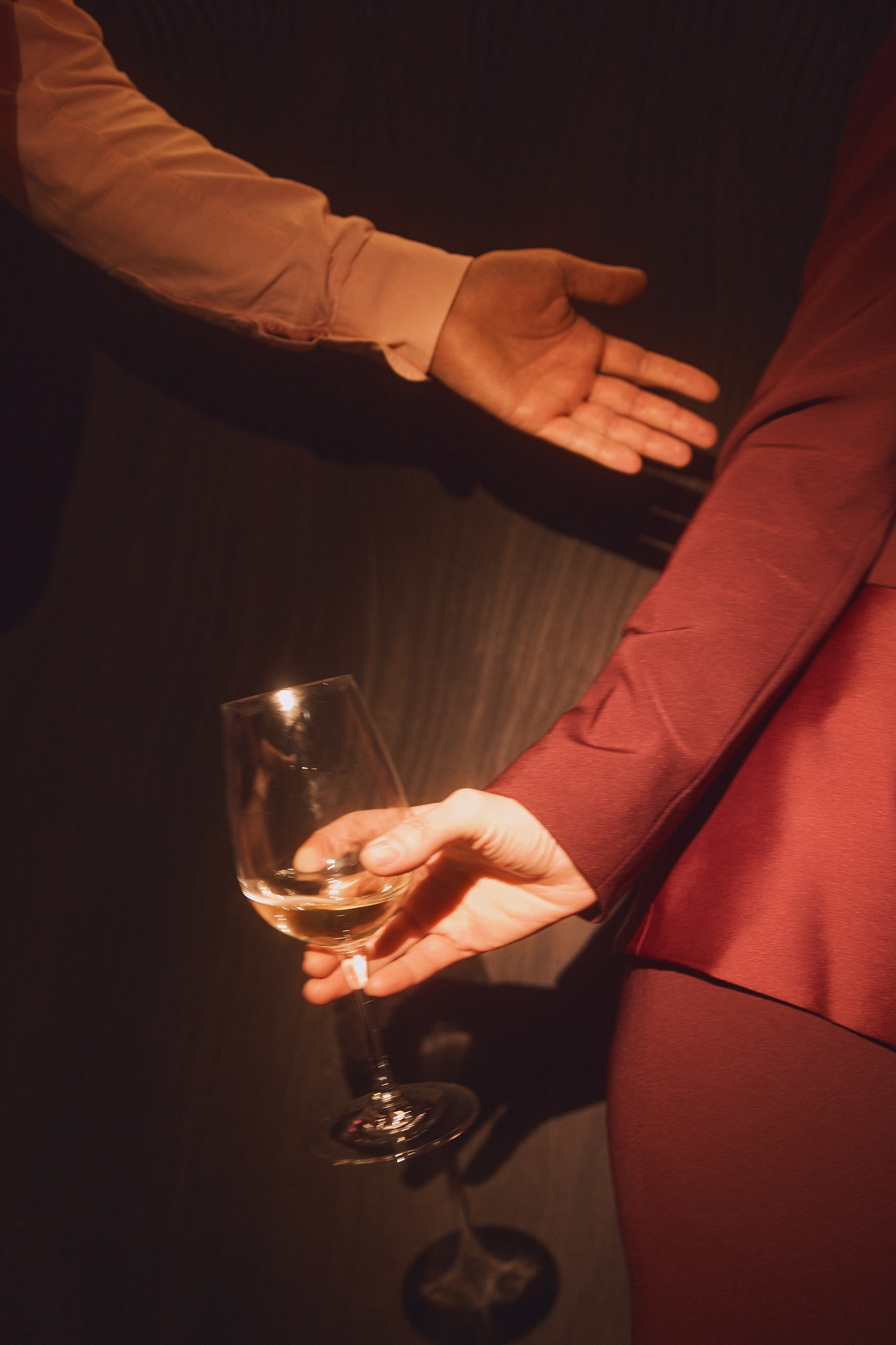 CORPORATE PARTY «AYMED». Дмитрий Мазуркевич: Профессиональный Репортажный Фотограф