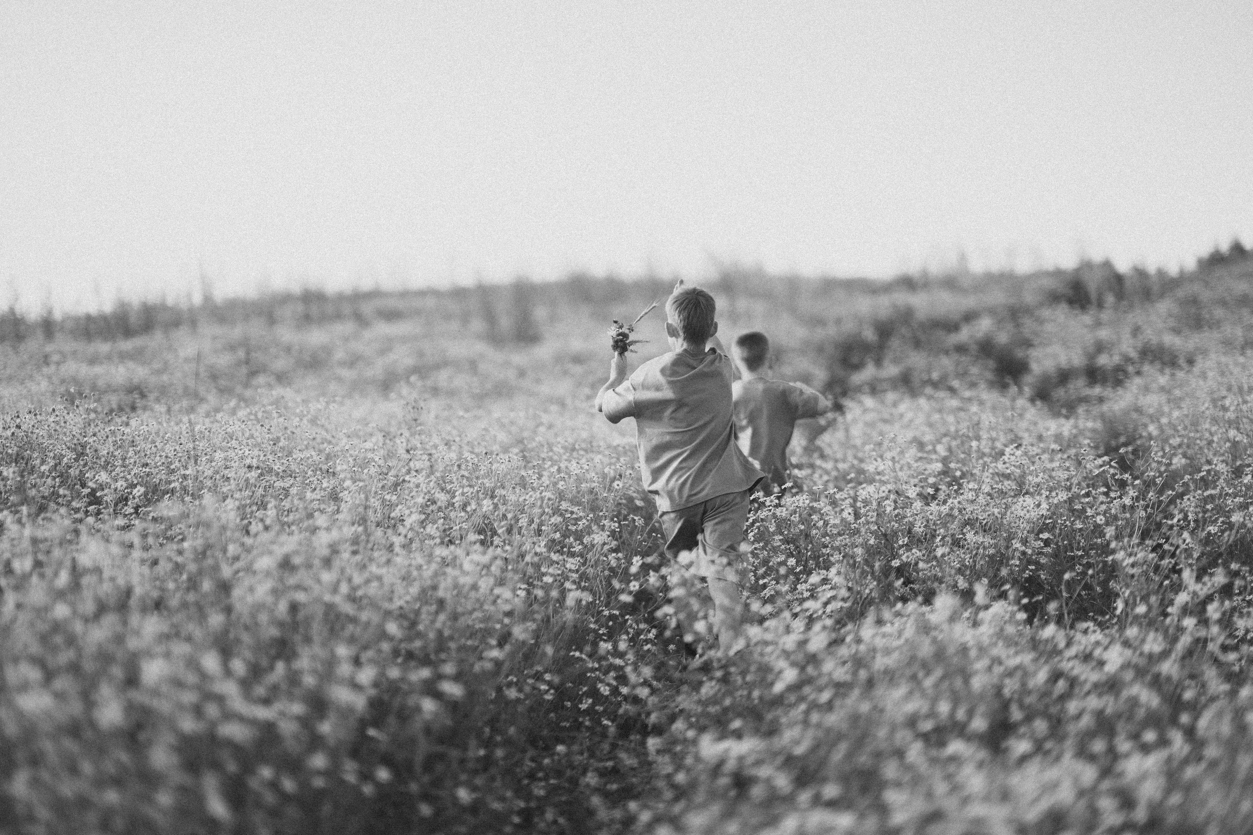 Ромашковое поле. Радонеж. Семейный и детский фотограф в Сергиев Посаде, Хотьково Якимчук Любовь