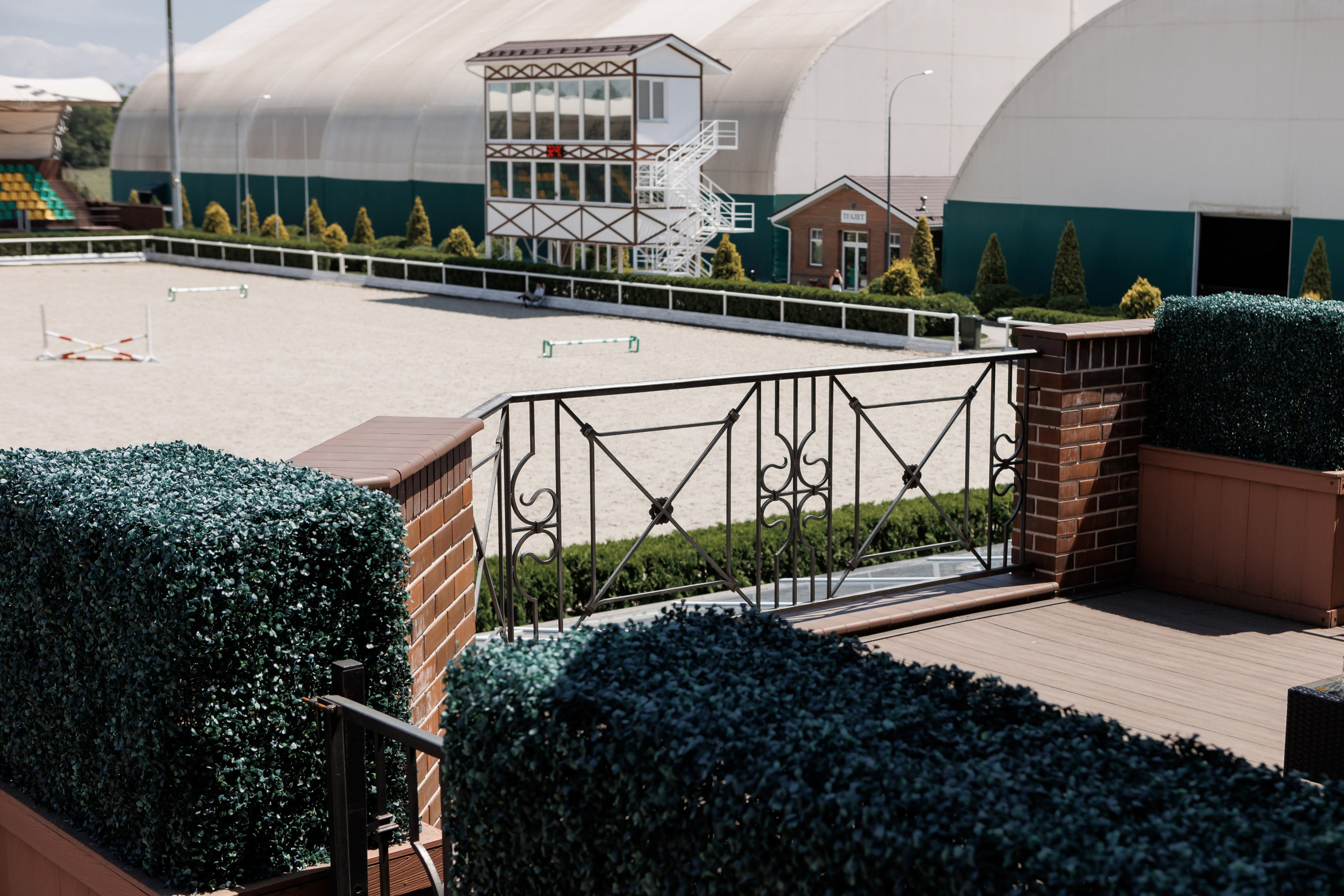 Д&А. Фотограф Алла Гусева