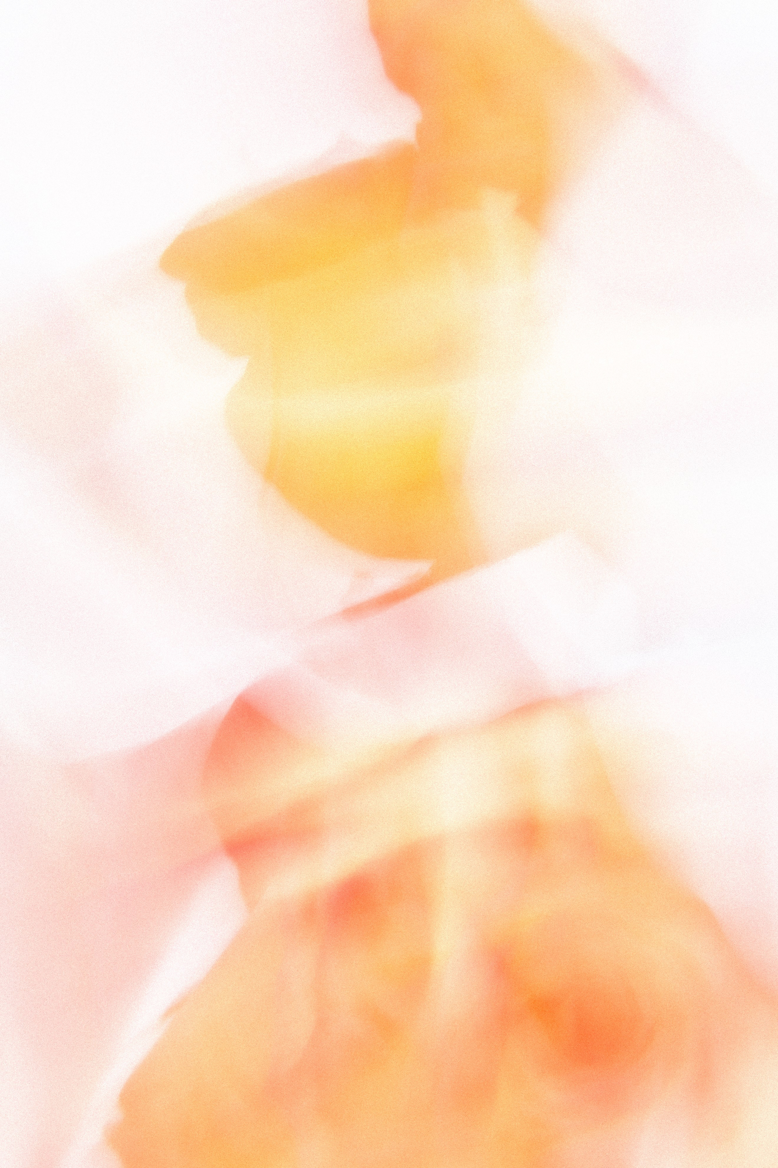 ЦВЕТА, 2025-2026. АННА ВЕРСО / ANNA VERSO | Визуальный художник / Visual artist