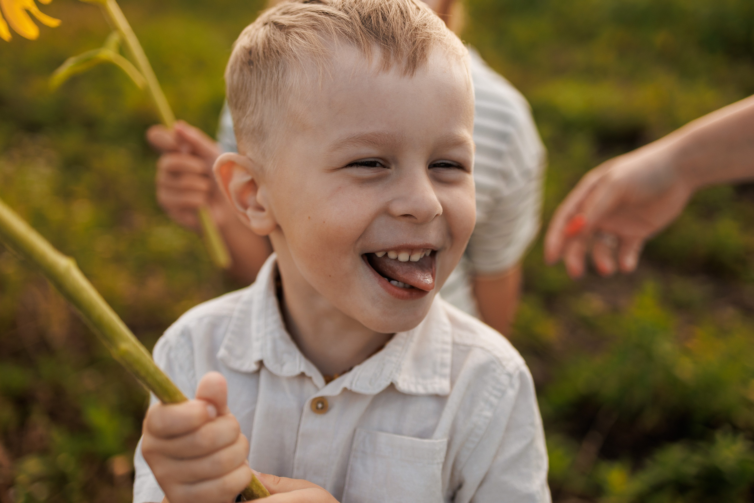 В поле подсолнухов. Семейный фотограф г. Тюмень