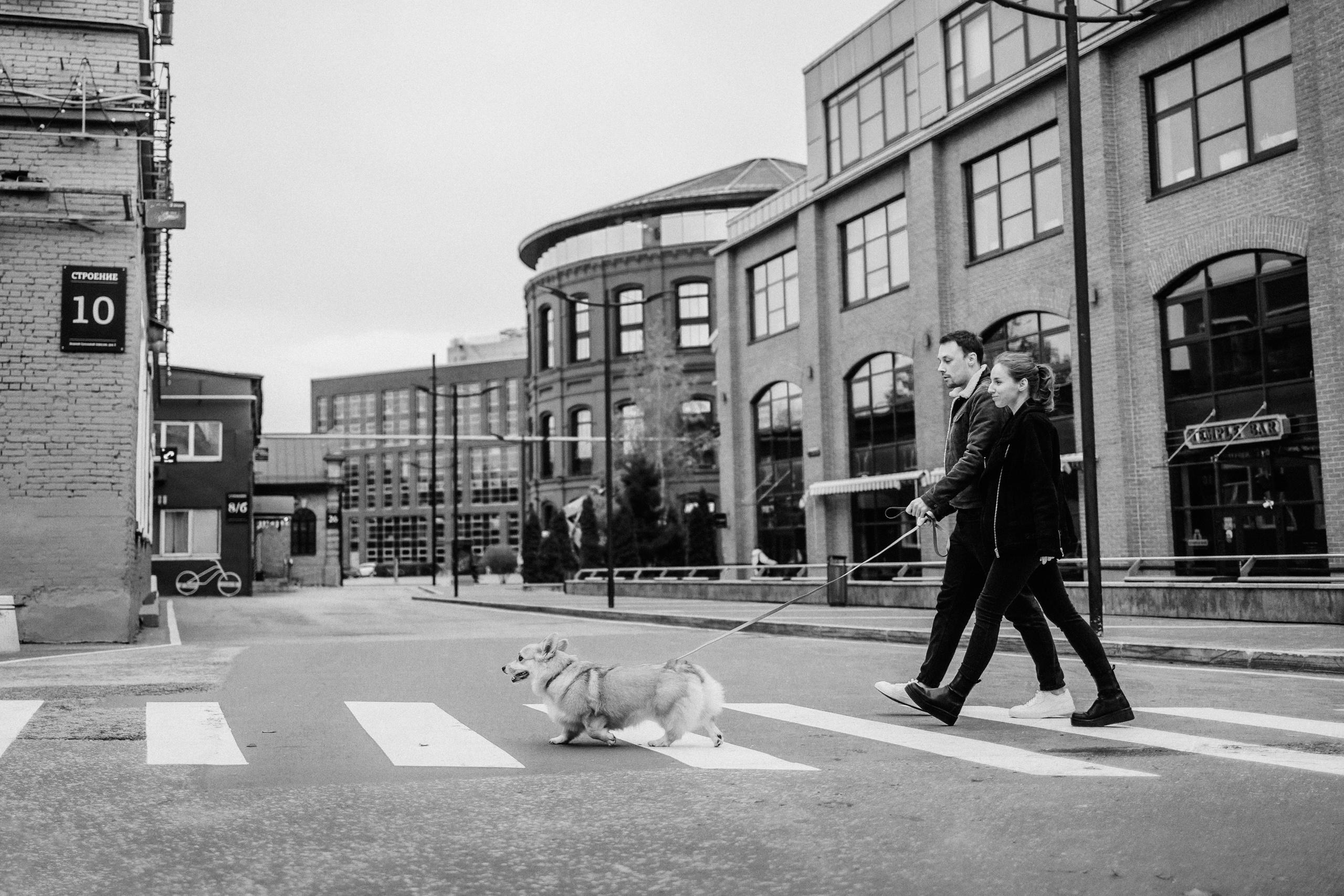 Вера, Саша и Муна. Фотограф-анималист Елена Радченко, Москва