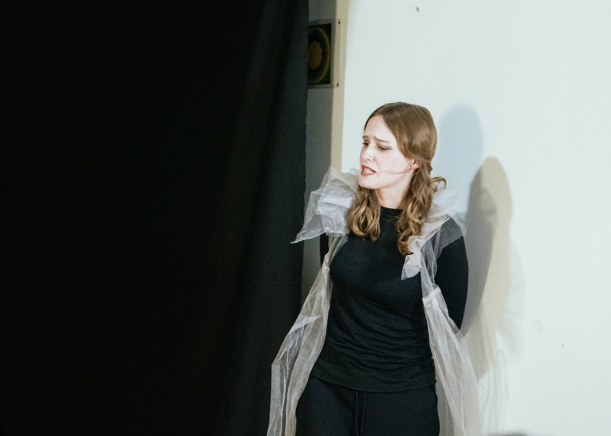 Shakespeare. Art-photographer Ira Wind