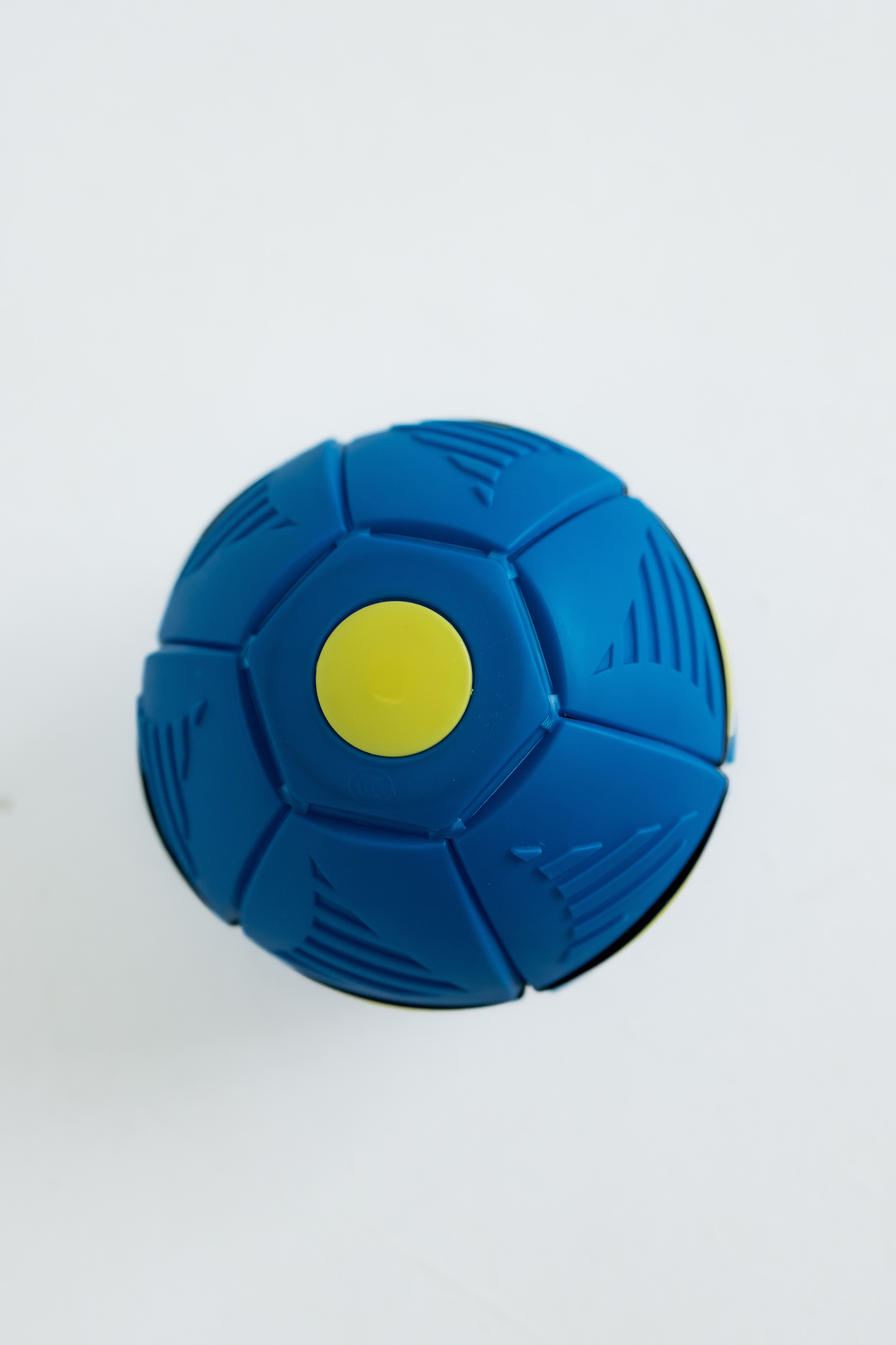 Мячи-попрыгуны. Фотораф — анималист Мария Шистка