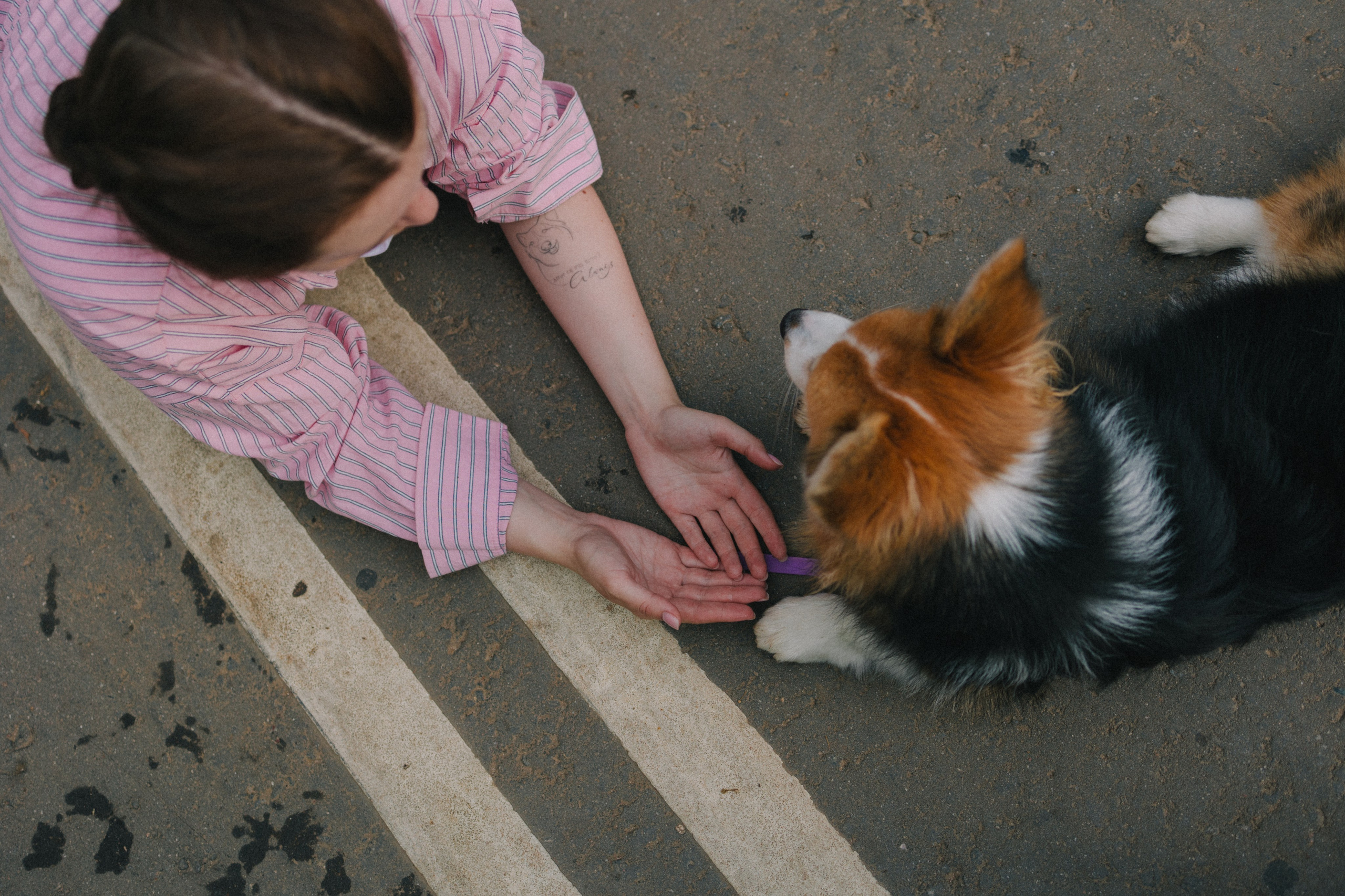 Мишель и Влада. Фотораф — анималист Мария Шистка