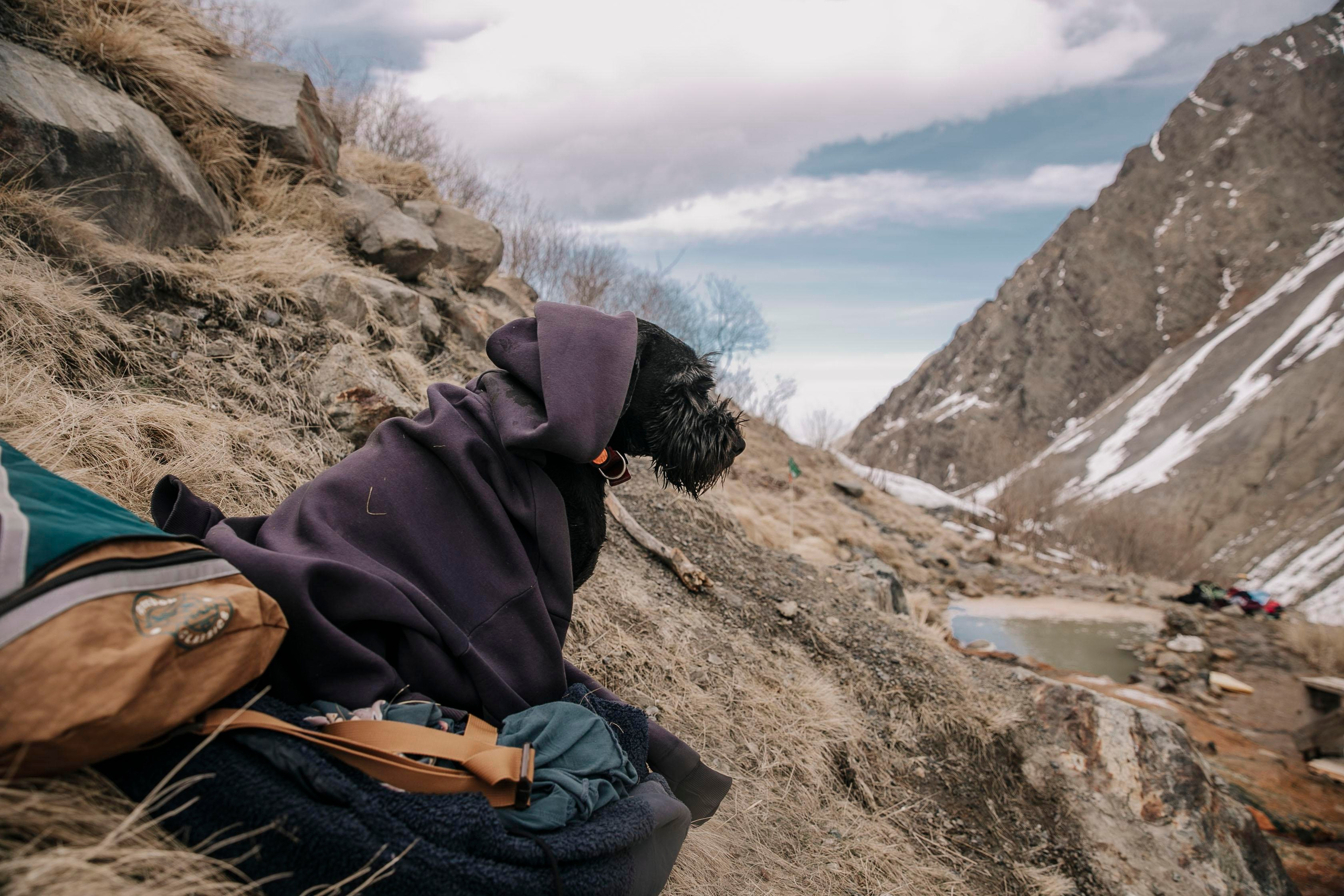 Треккинг / восхождения / активности